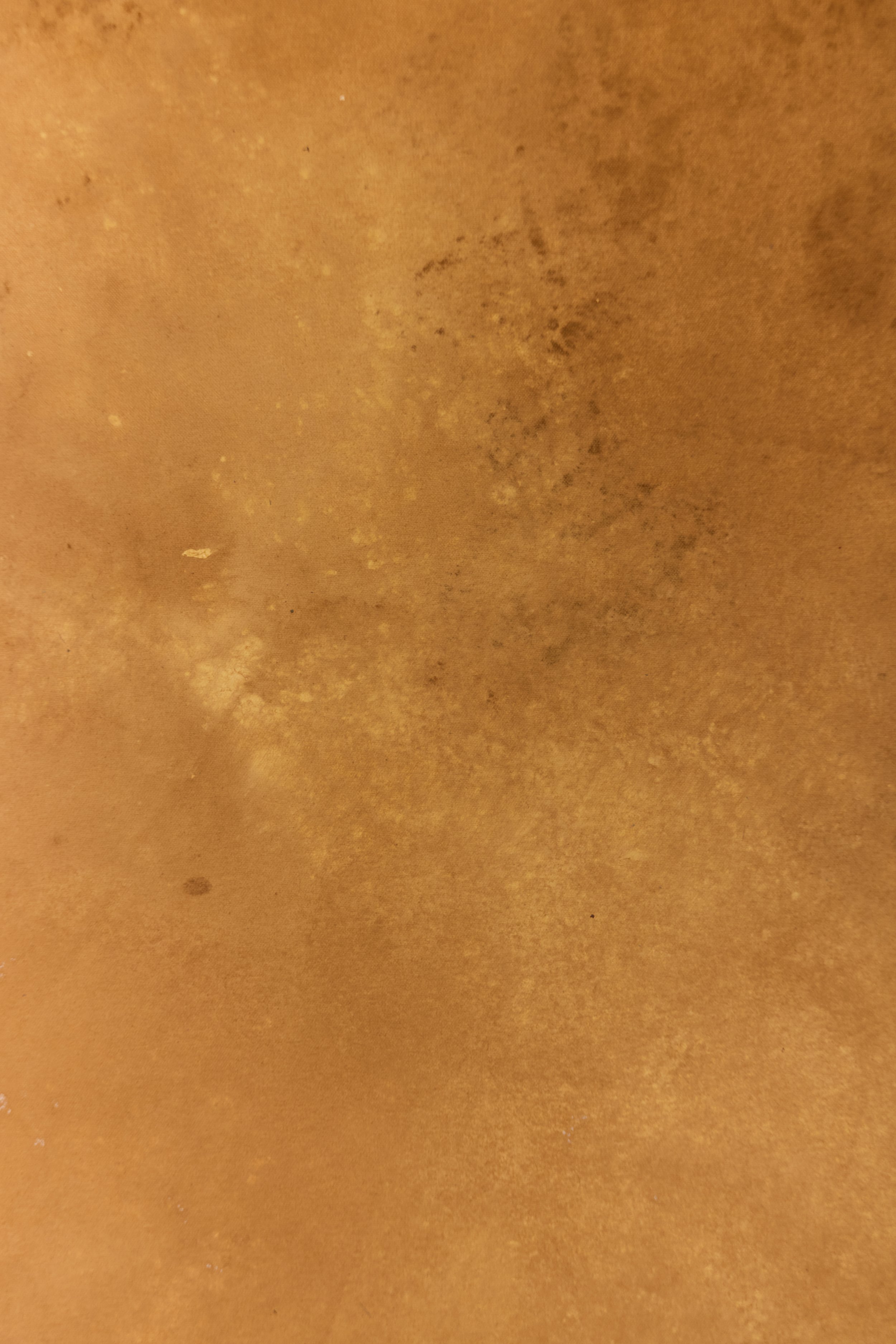 Backdrop 202688748.jpg