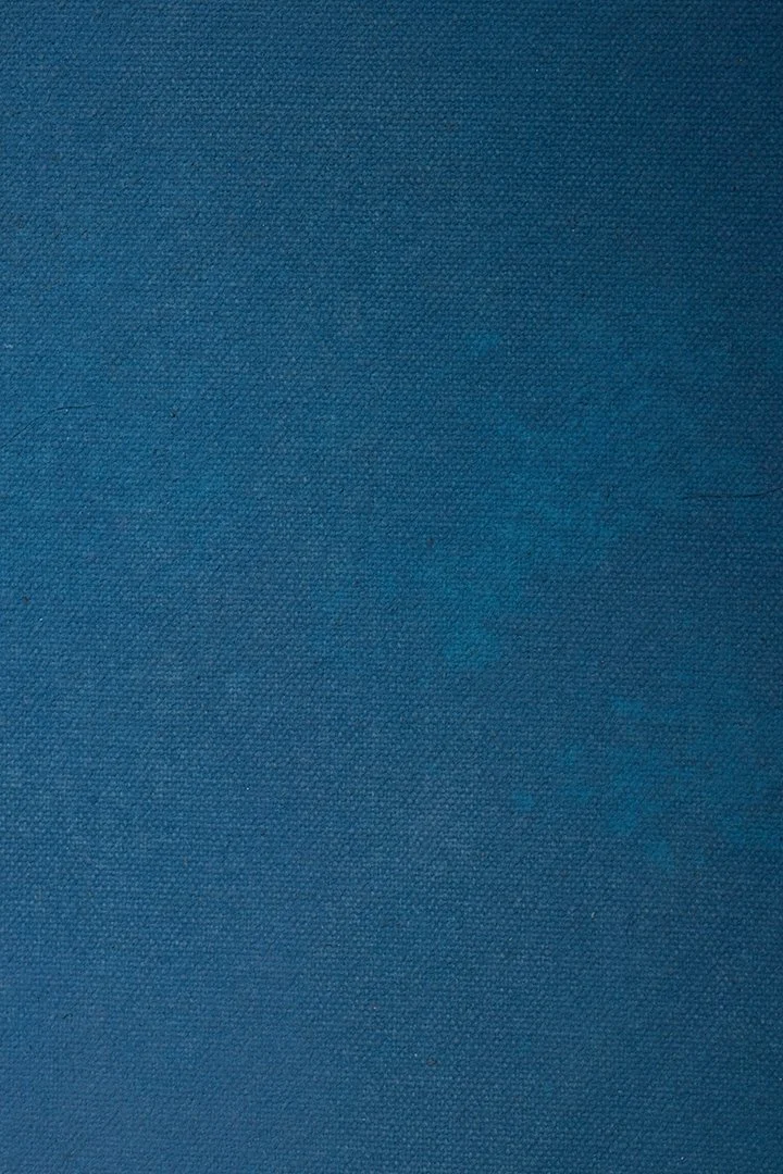 backdrop 91.    6109 copy.jpg