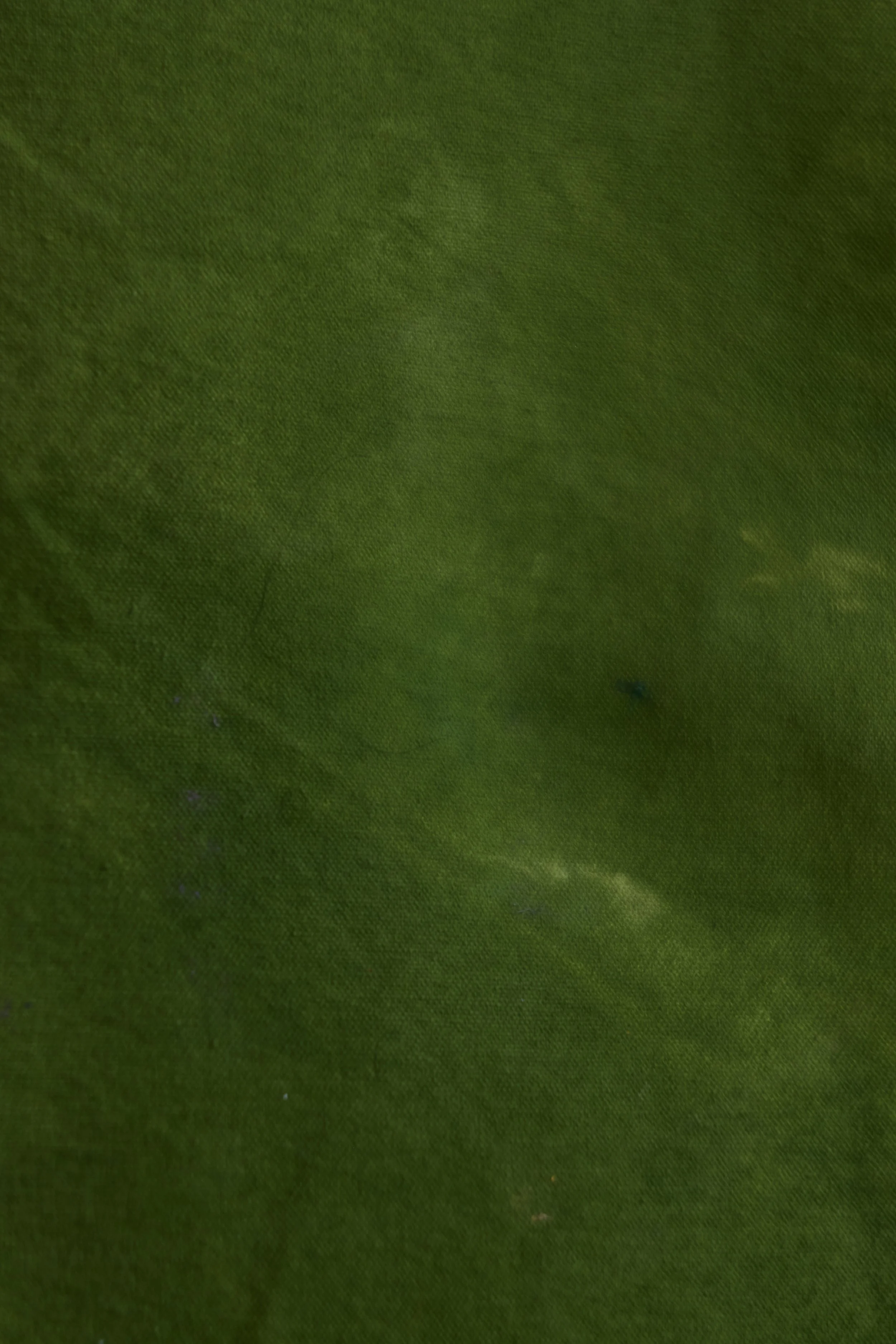 Backdrop 202687726.jpg