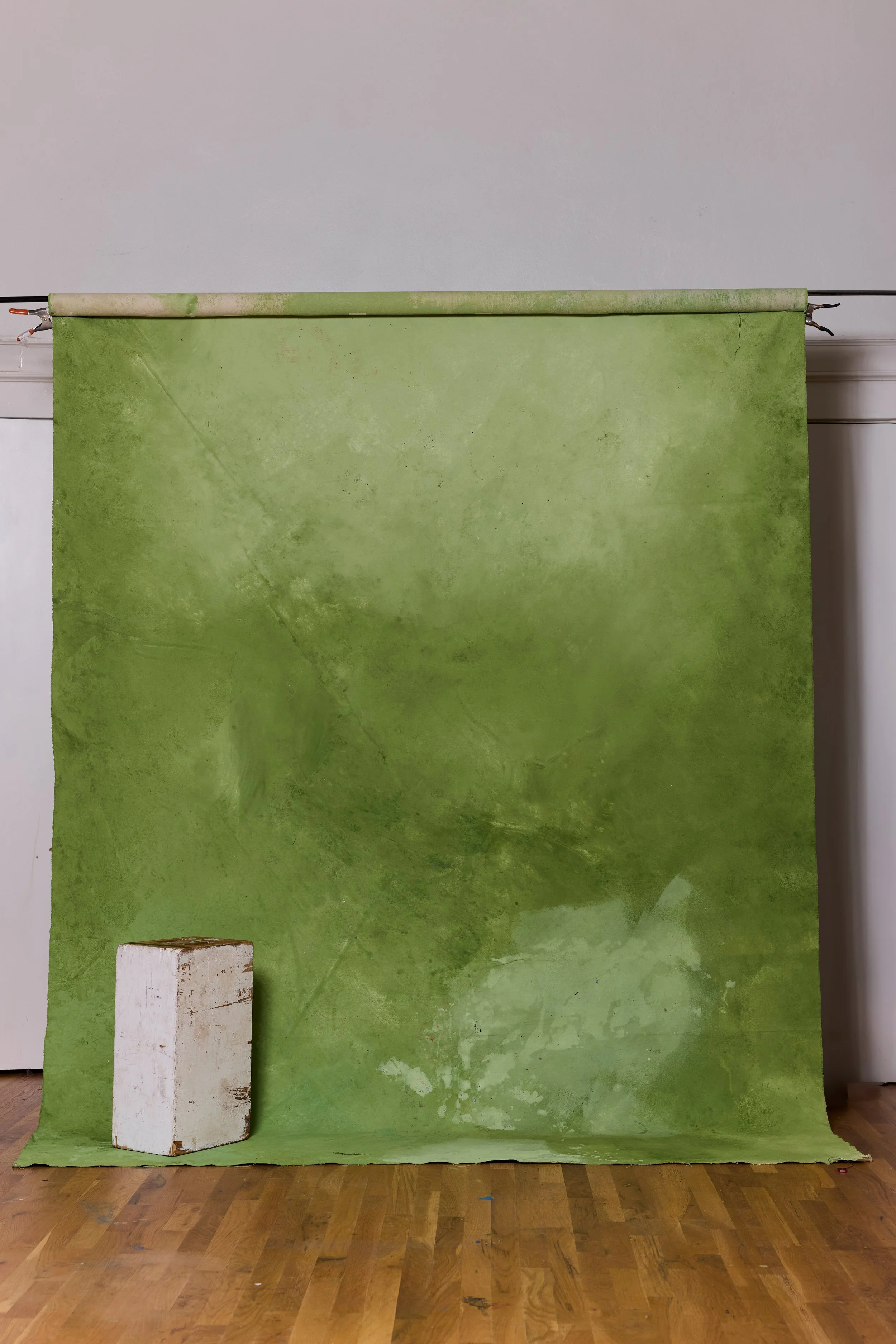 Backdrop 202688726 copy.jpg