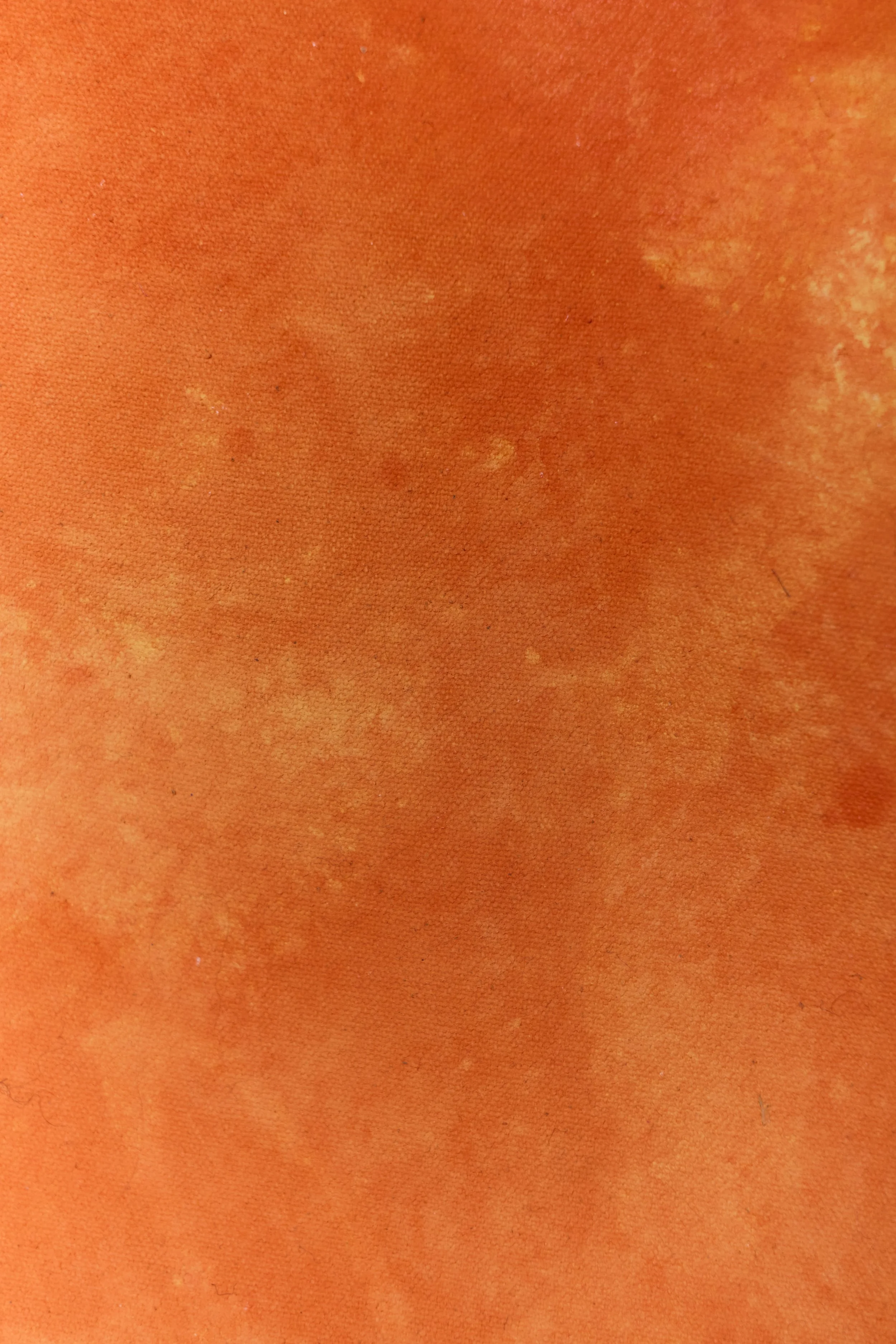 Backdrop 202688720.jpg