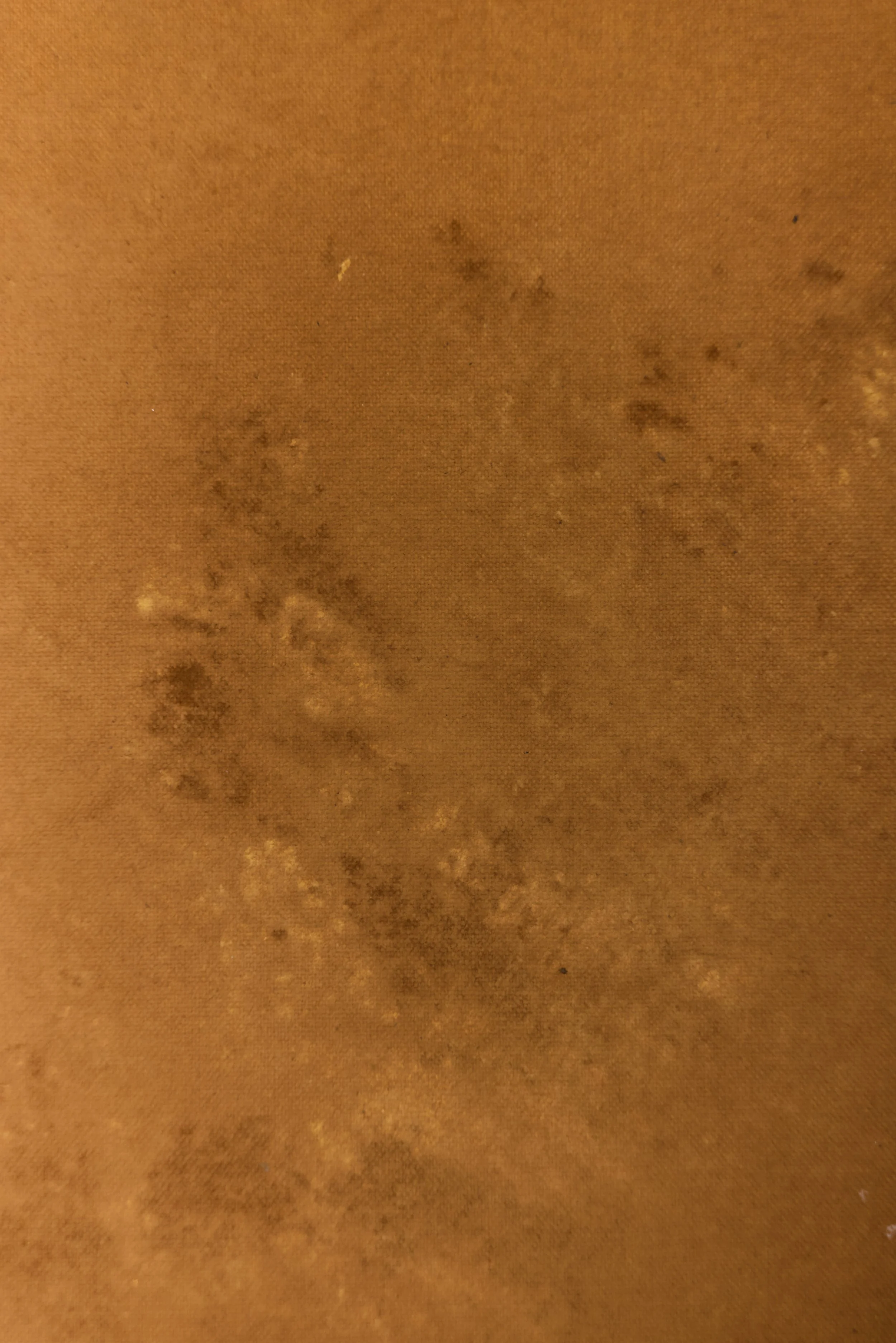 Backdrop 202688745.jpg