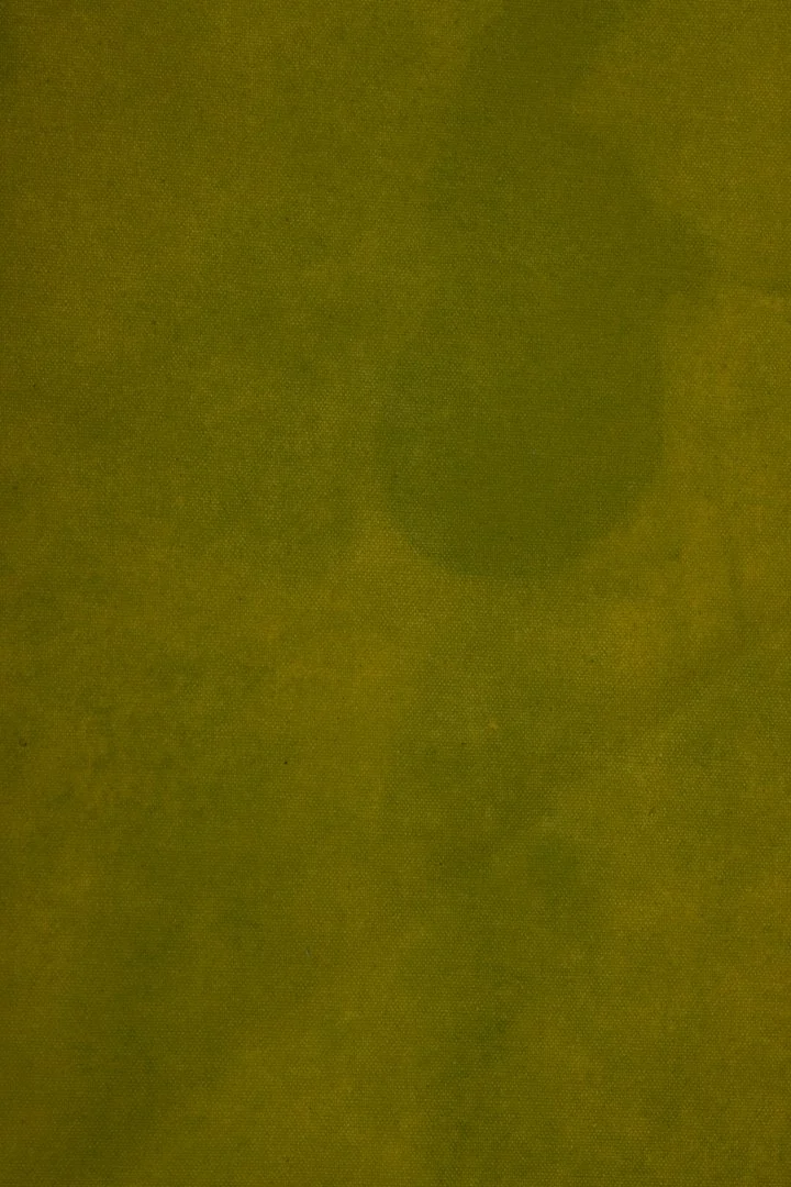 backdrop 86.  6094 copy.jpg (Copy)