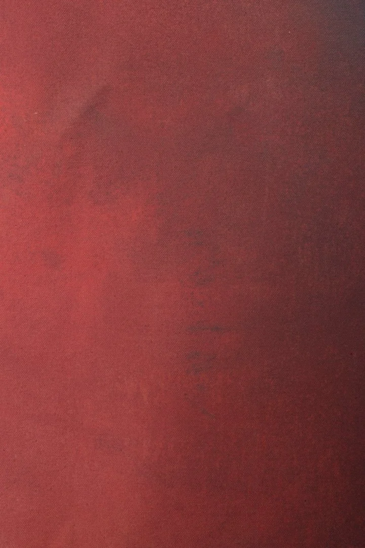 backdrop 50.    6099 copy.jpg