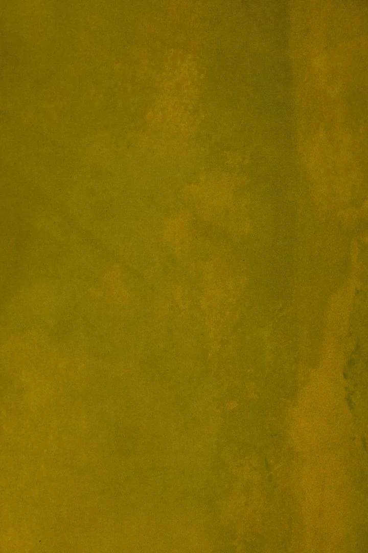 backdrop 86.  6097 copy.jpg (Copy)