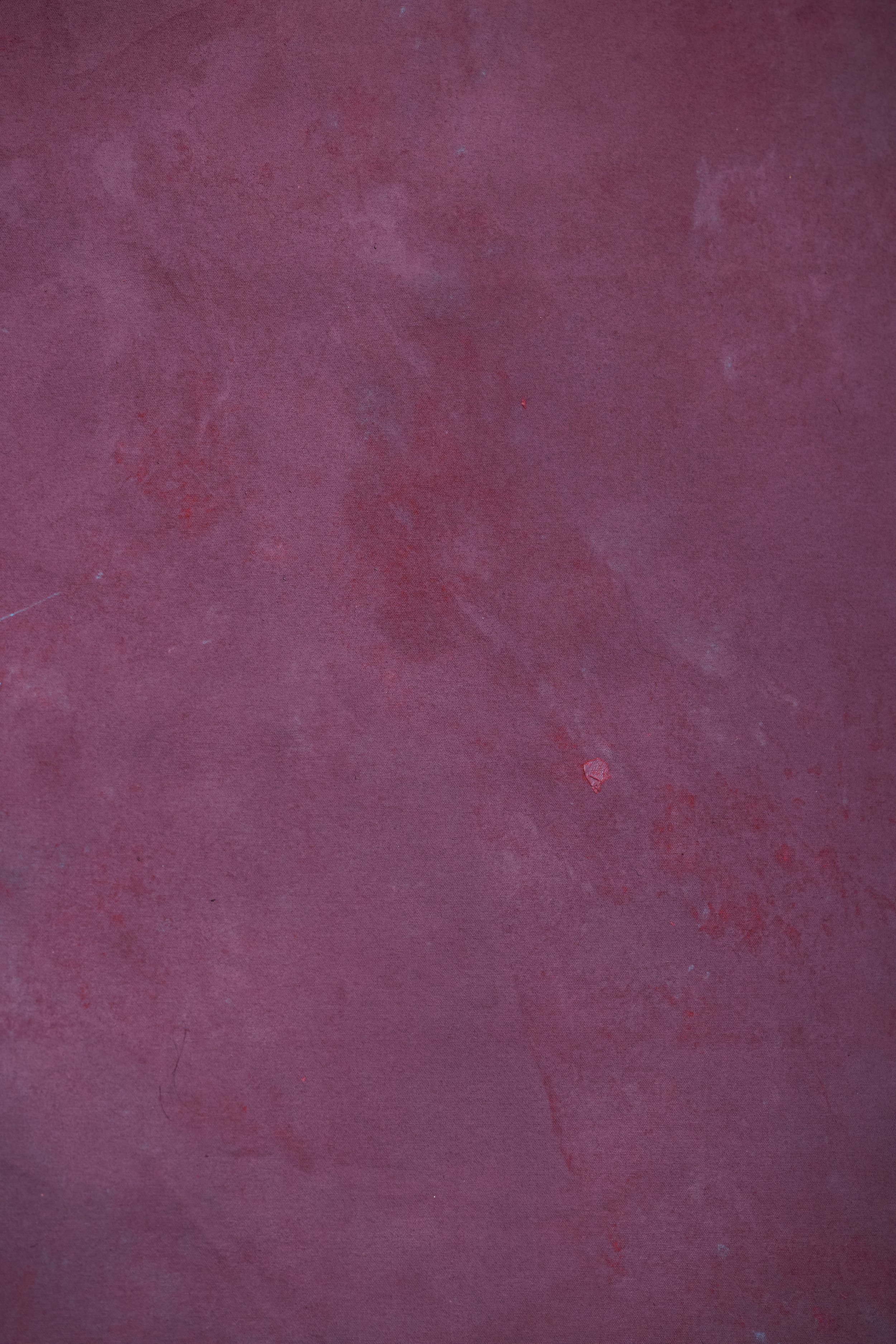 Backdrop 202687953.jpg