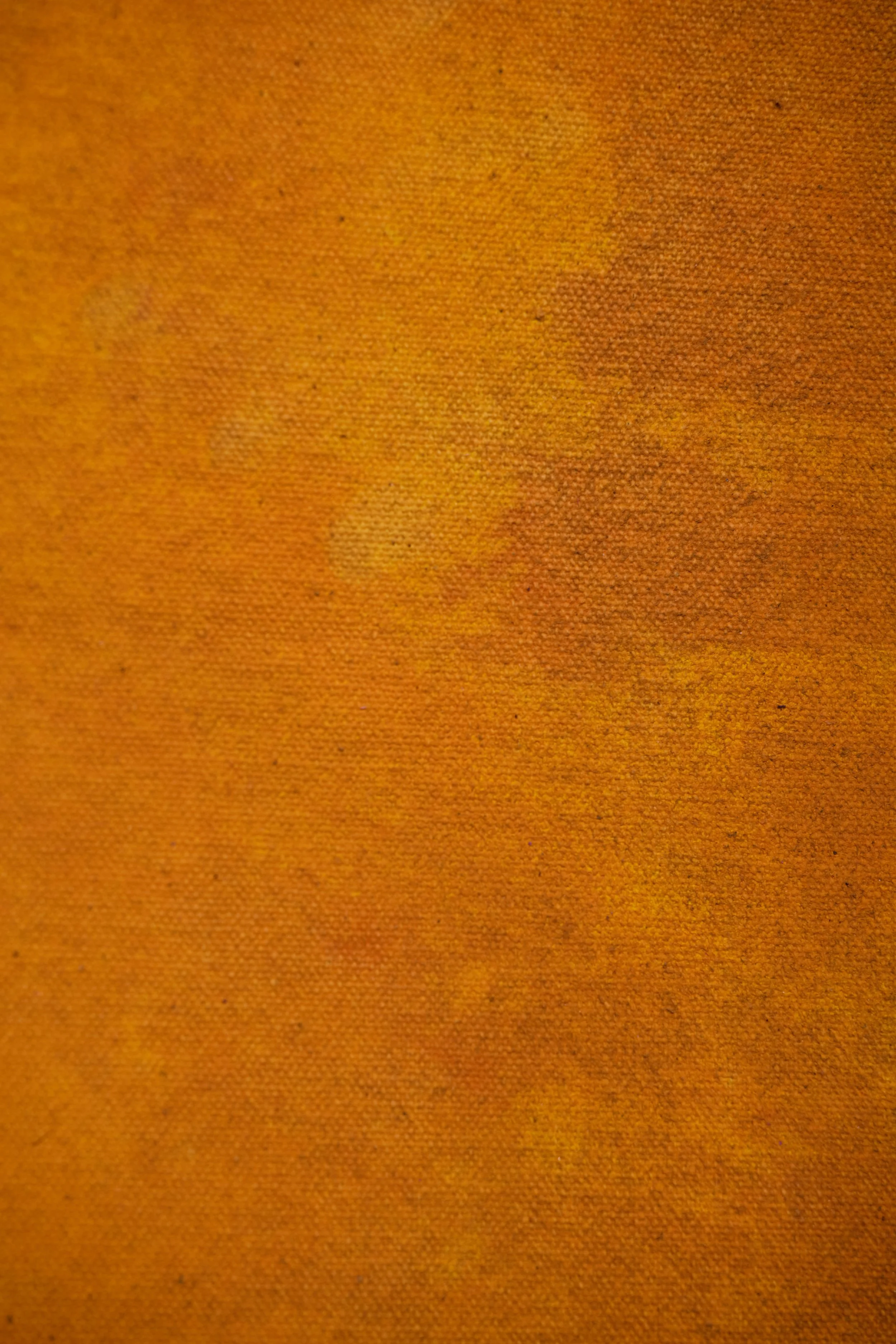 Backdrop 202687962.jpg