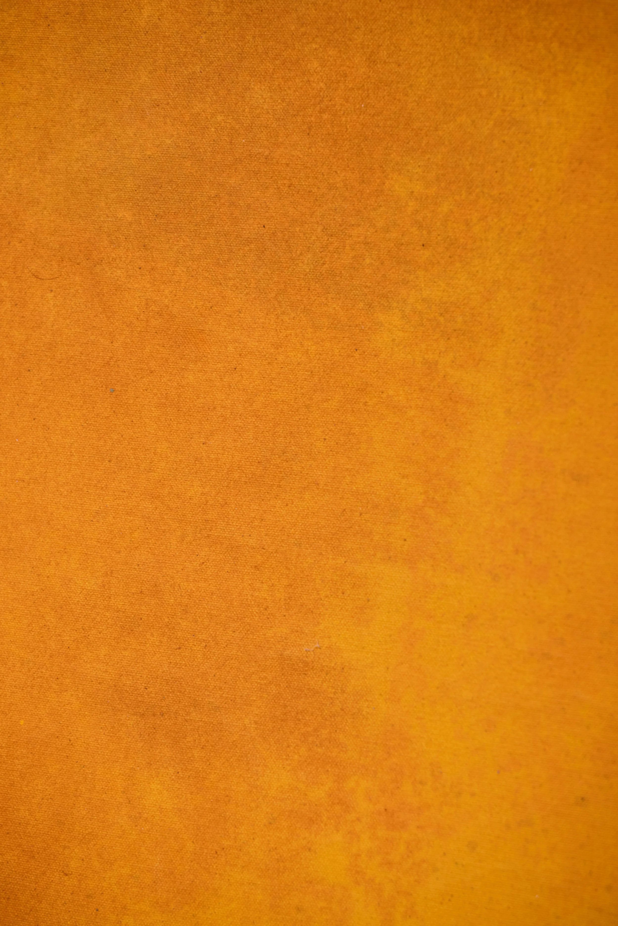 Backdrop 202687965.jpg