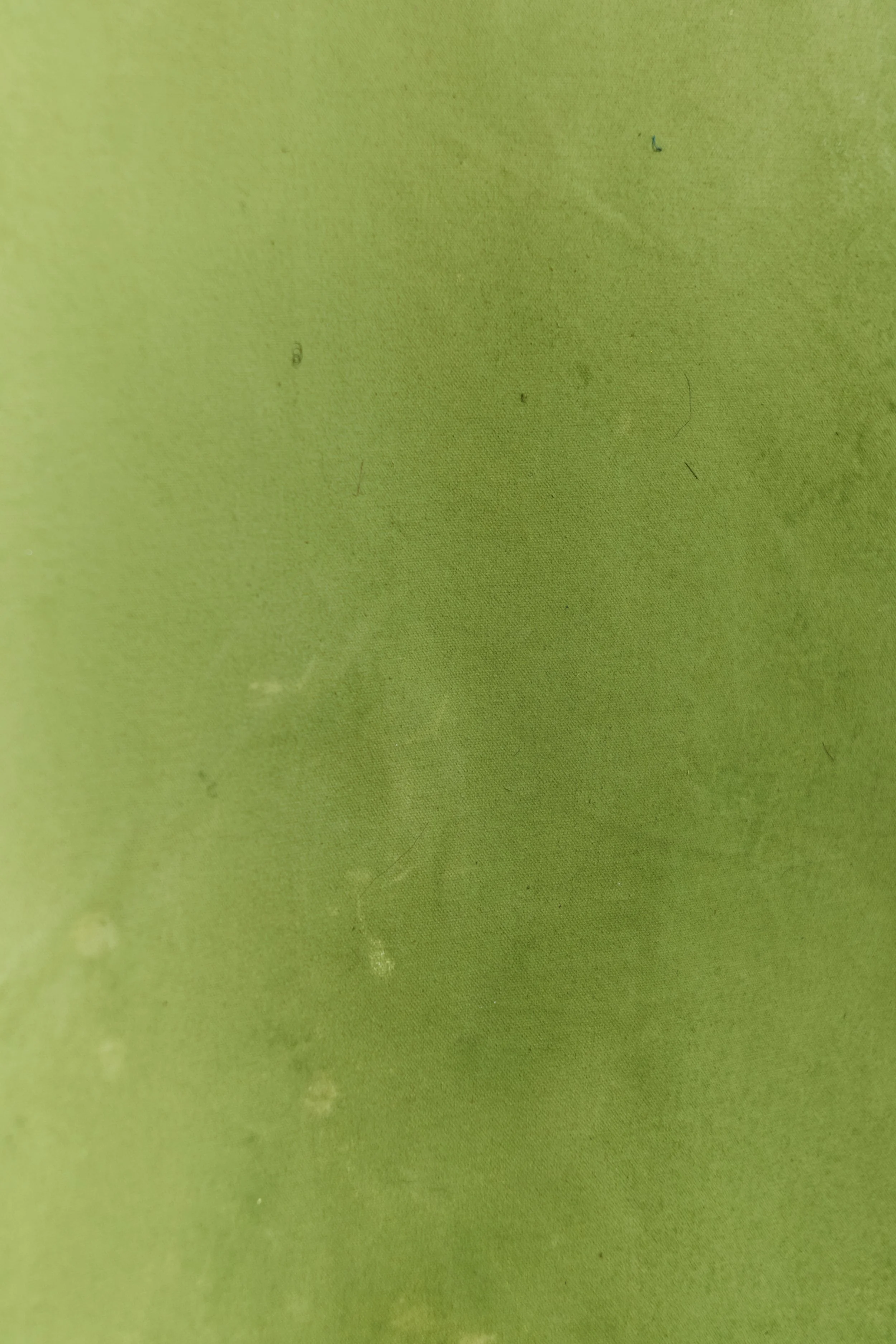 Backdrop 202687717.jpg