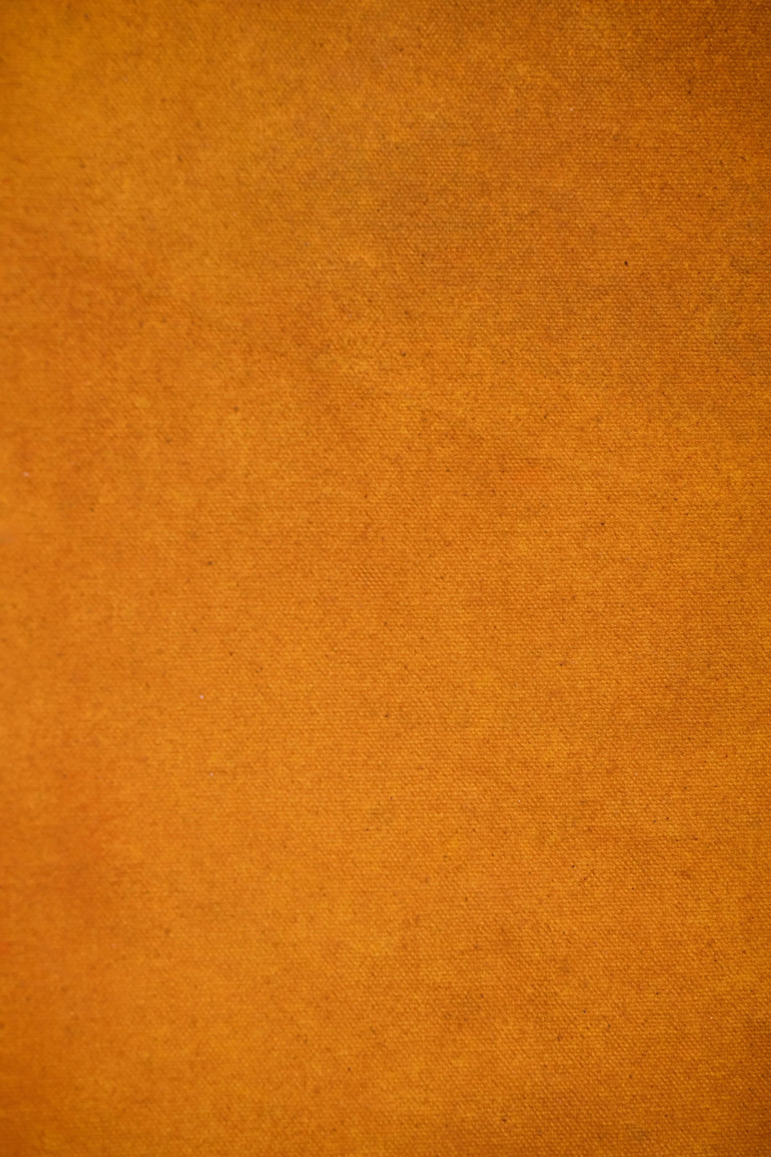 Backdrop 202687960.jpg