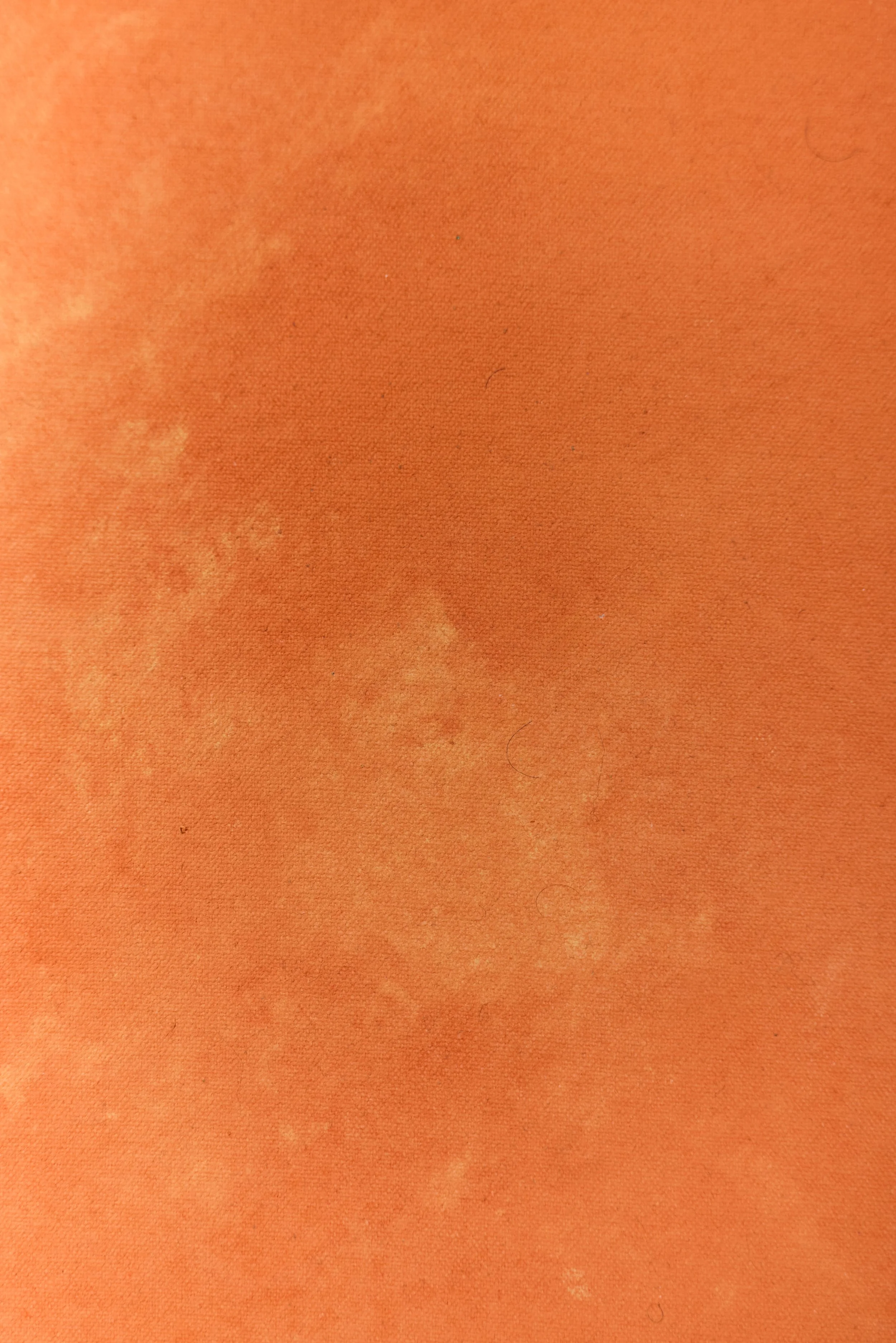 Backdrop 202688718.jpg