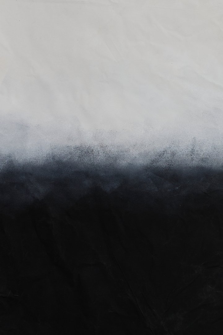 T019 2471_1.jpg