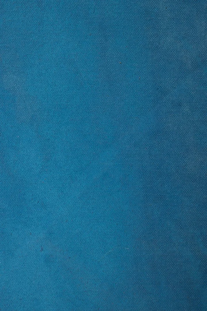 backdrop 91.    6111 copy.jpg