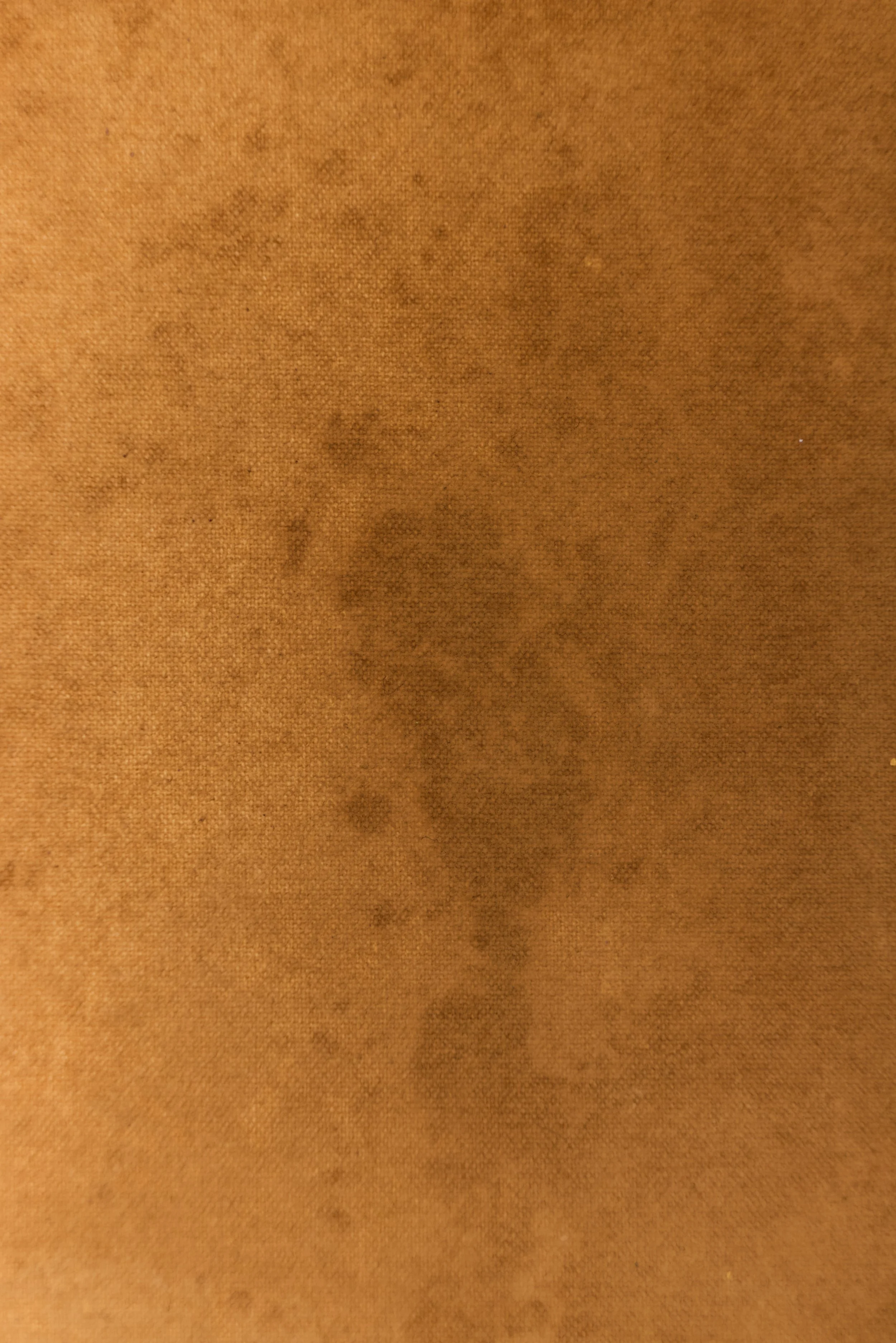 Backdrop 202688741.jpg