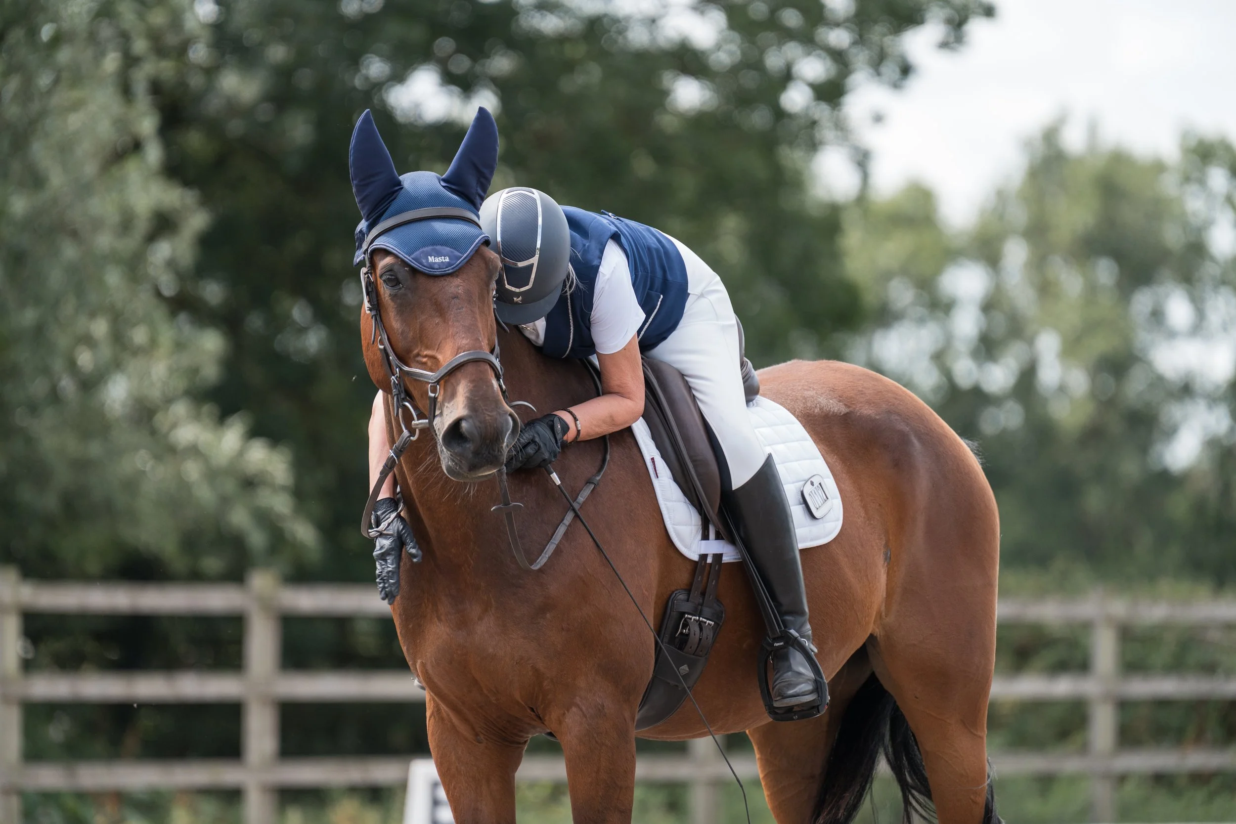 Logo for Katie's Horse and Dog Portraits featuring a minimalist line drawing of a horse and a dog, with the text 'KATIE'S HORSE AND DOG PORTRAITS' and a subtitle 'Equine & Canine Photography'.