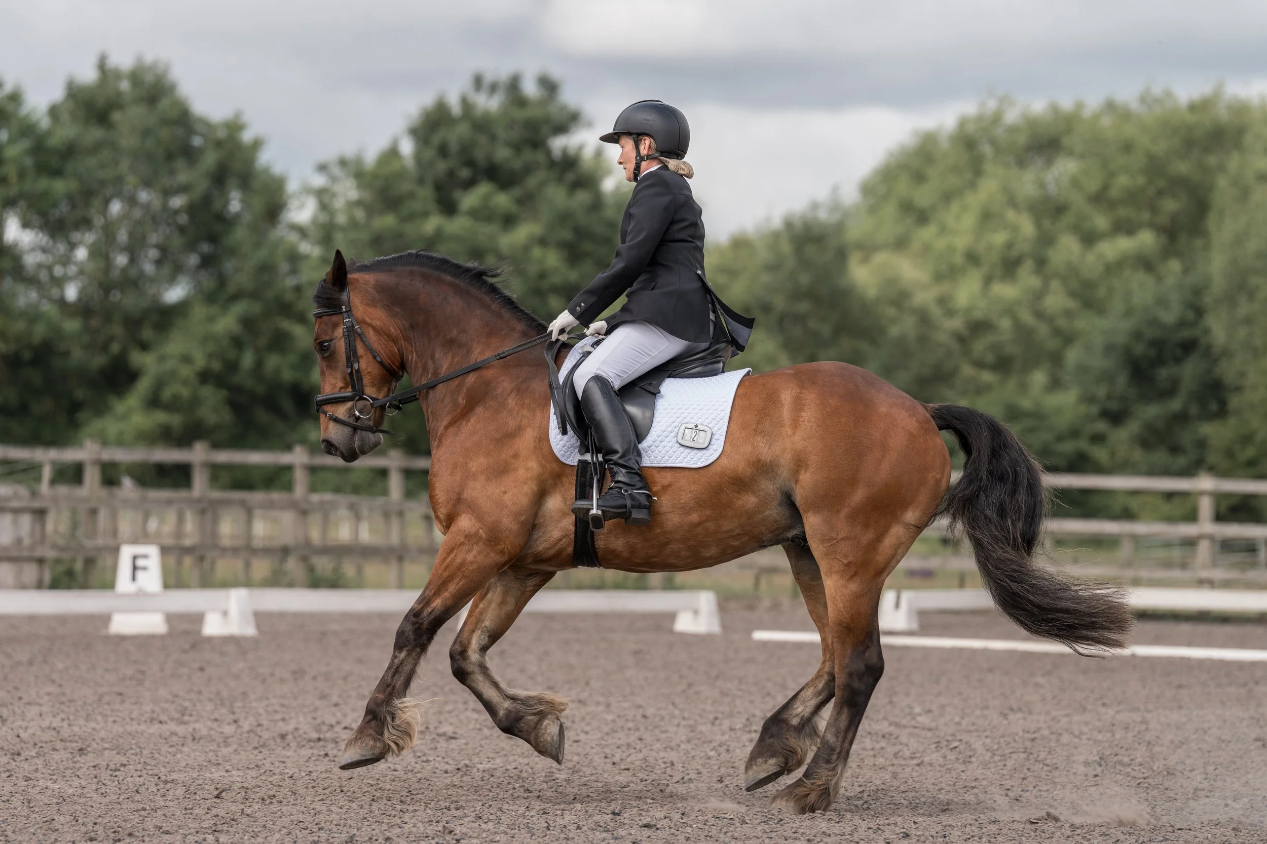 A person riding a brown horse on a riding track, wearing a black helmet, black riding jacket, and white riding pants.