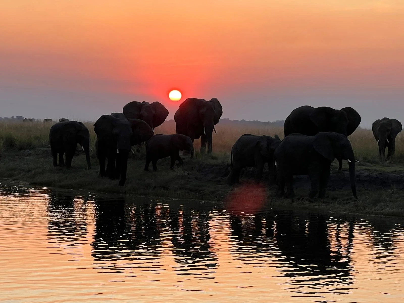 WhatsApp Image 2025-06-04 at 11.17.07 PM.jpeg