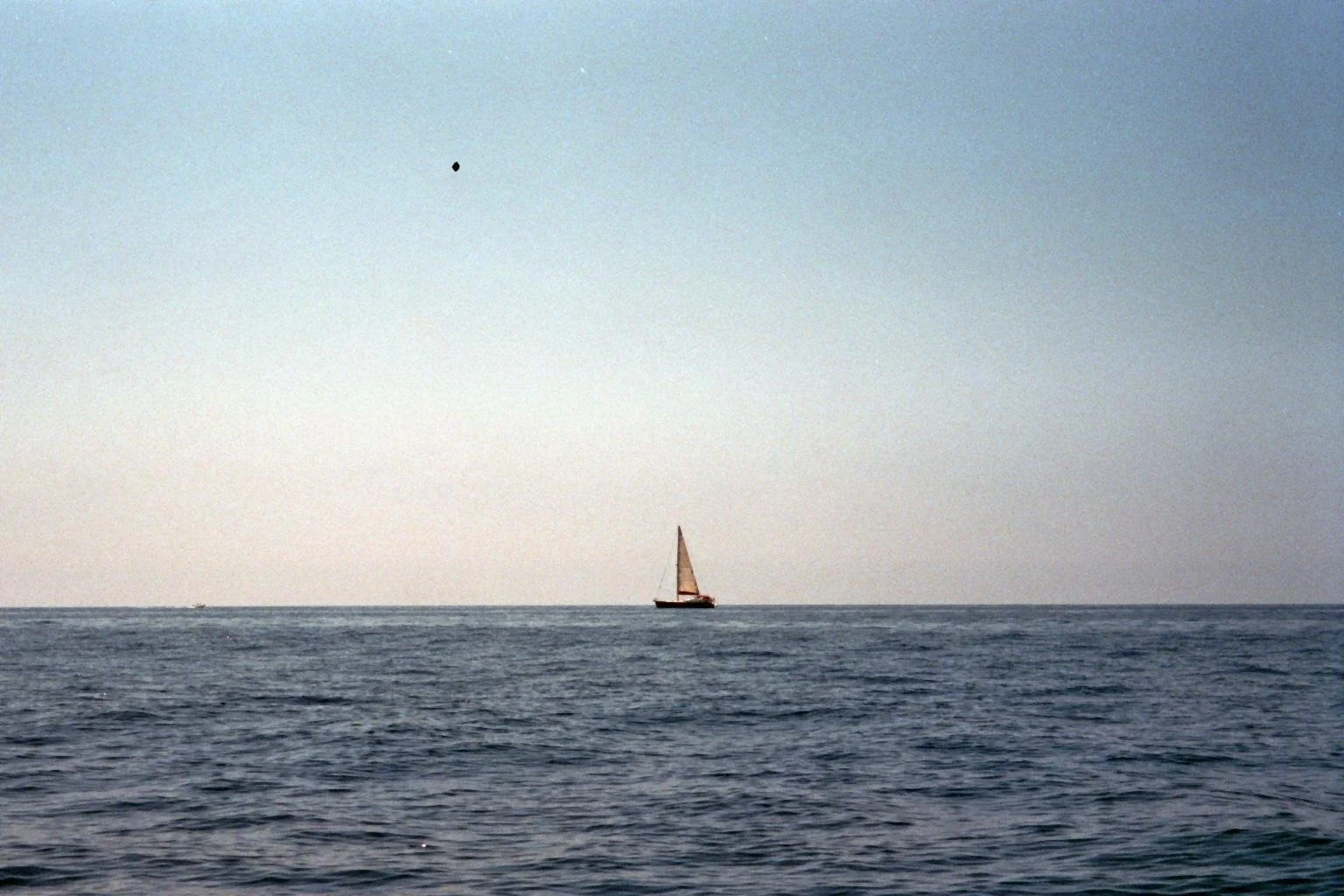 WhatsApp Image 2025-06-04 at 11.13.58 PM.jpeg