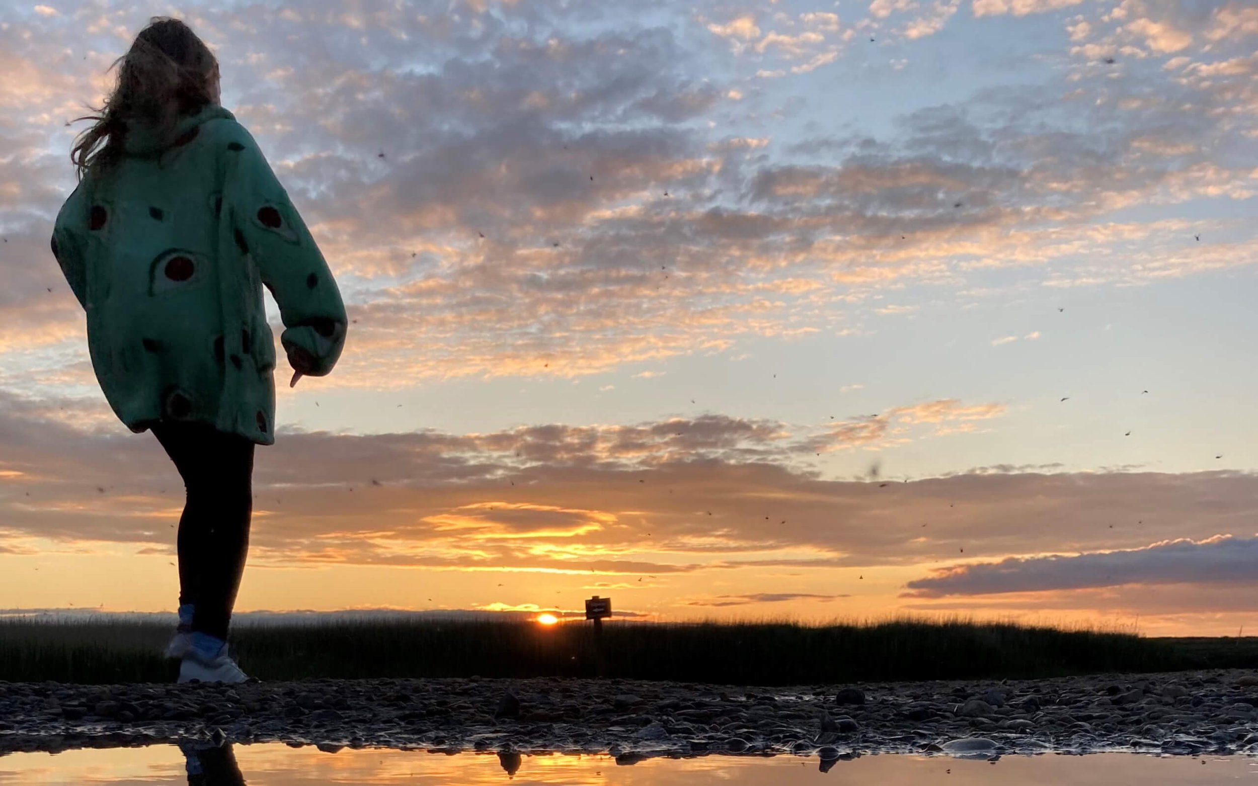 A young woman walking along a grassy and rocky beach at sunset, with a reflection of her silhouette in a small puddle.