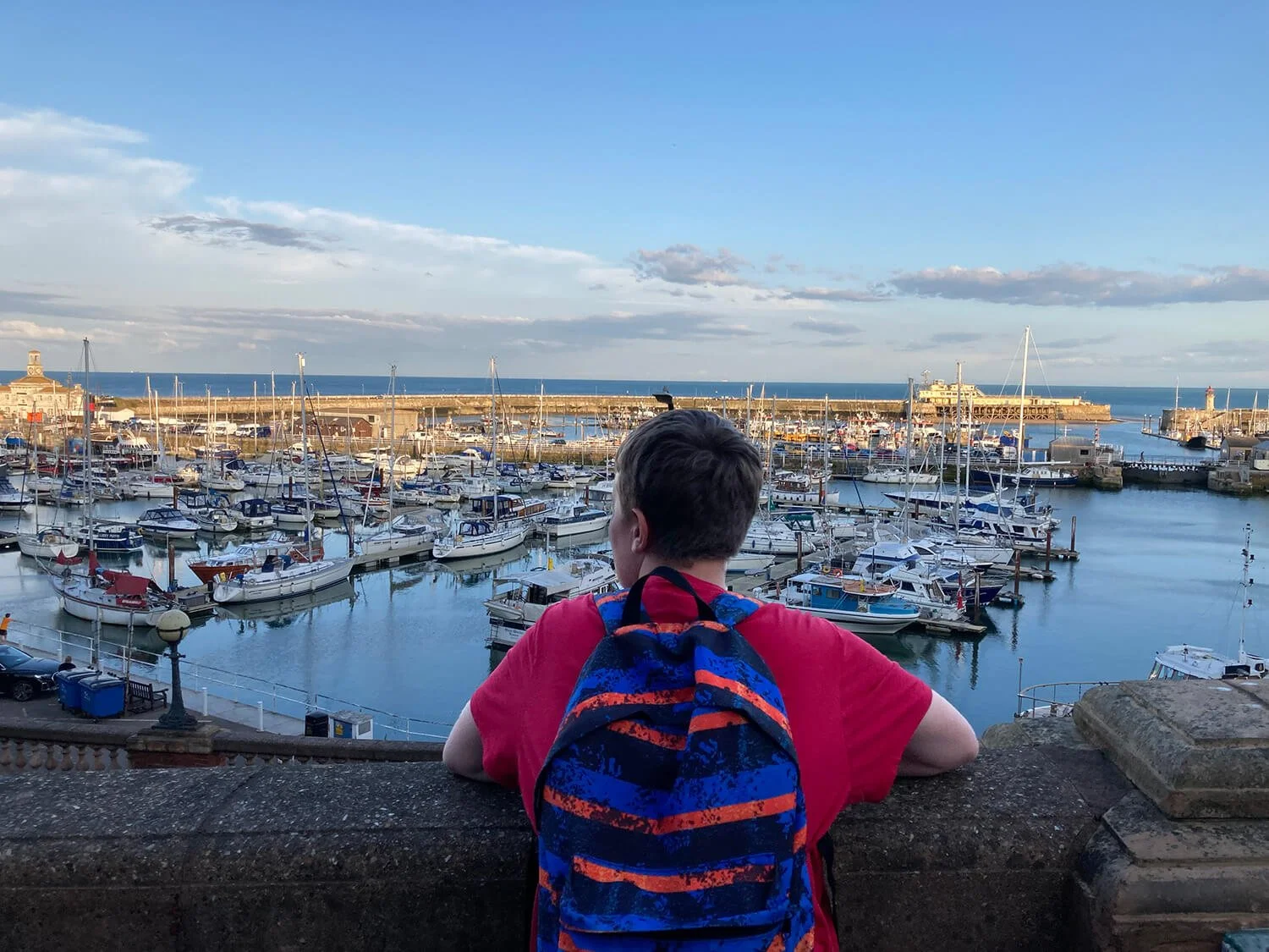 A person with a red shirt and blue backpack looking at a harbor filled with boats, with water, a pier, and buildings in the background under a blue sky with scattered clouds.