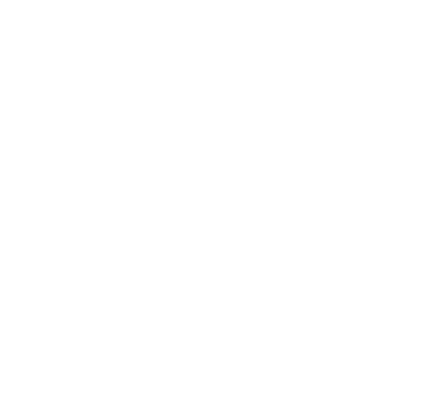 HOLT YOUTH PROJECT