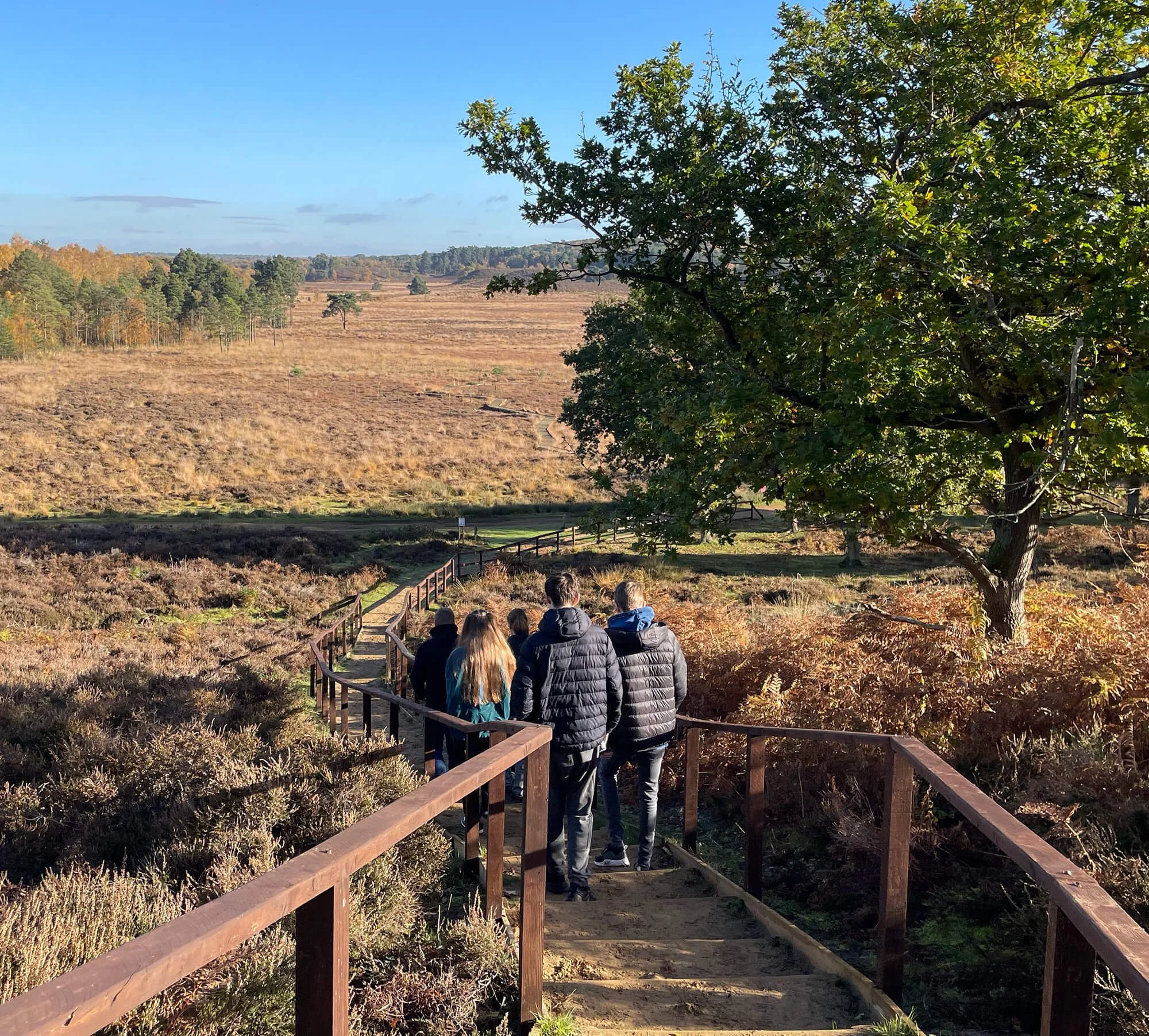 A group of people walking along a wooden pathway through a natural landscape with shrubs, trees, and open fields under a clear blue sky.