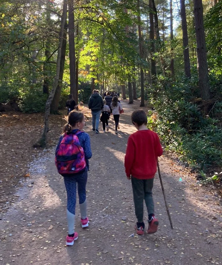 Children walking on a dirt trail through a wooded forest with tall trees and green foliage, sunny day.