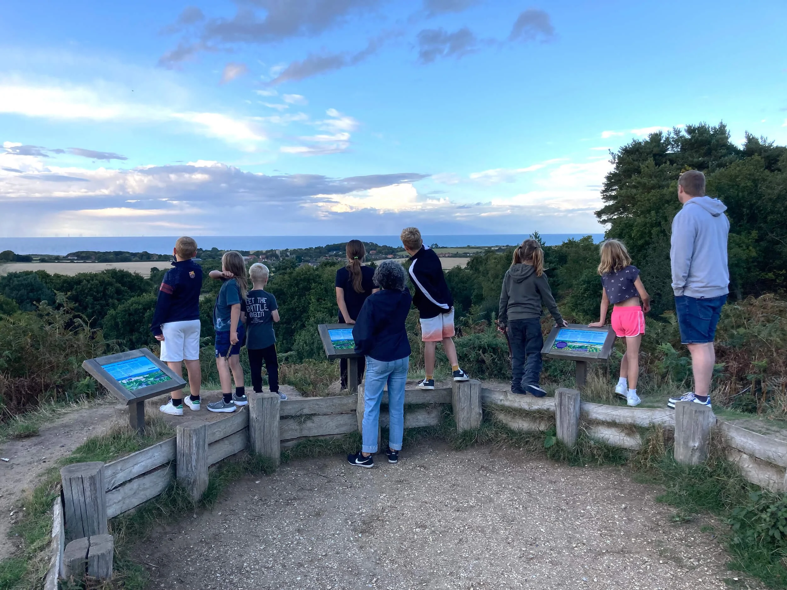 Group of children and a woman standing at a viewpoint, looking out over a scenic landscape with trees, fields, and a distant body of water under a partly cloudy sky.