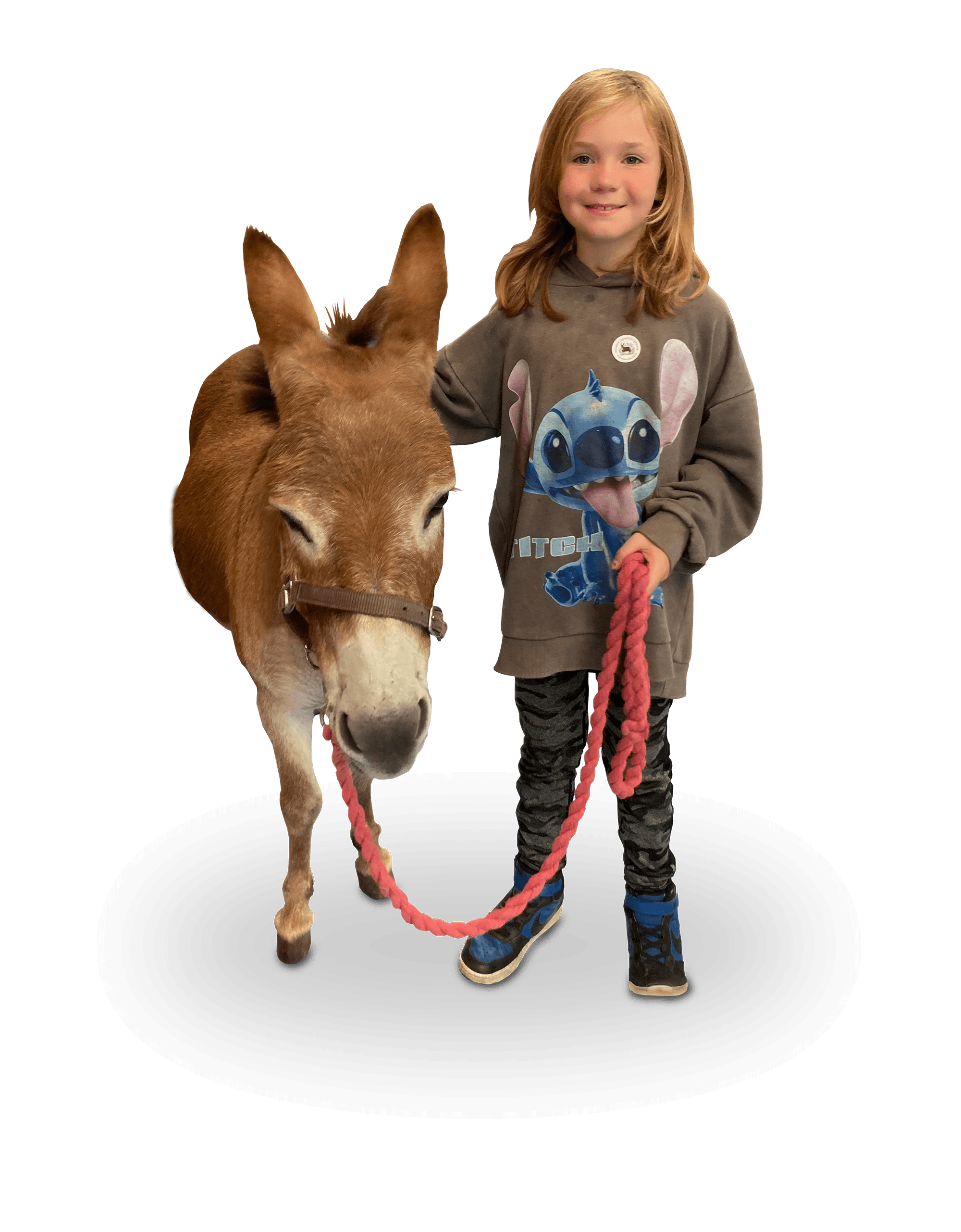 A young girl standing next to a small donkey, holding a pink rope leash, against a black background.