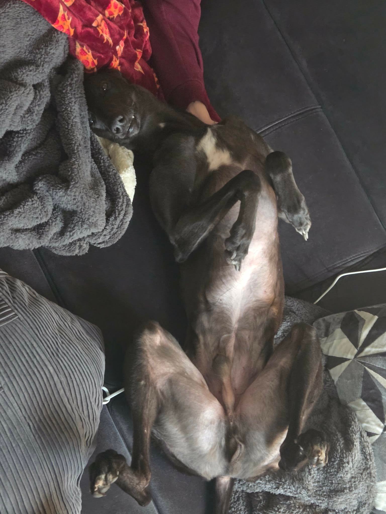 Pete (Strike It Pete)