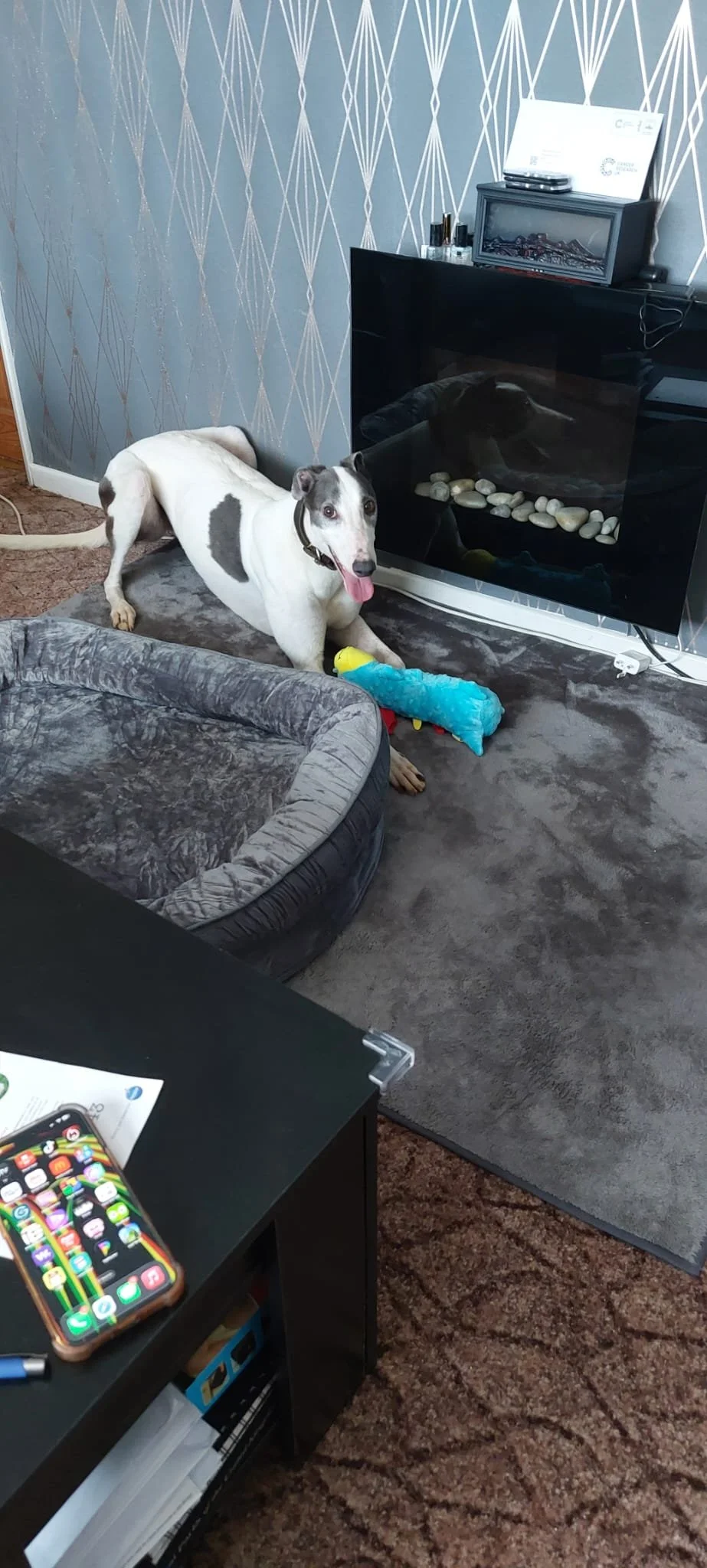 Lady Lola (Omass Glen)