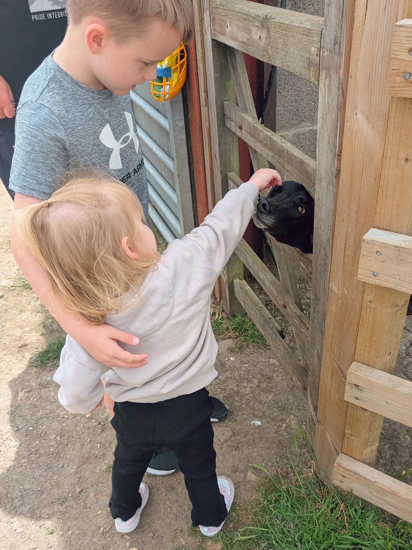 A young girl petting a dog through a wooden fence while an older boy watches.