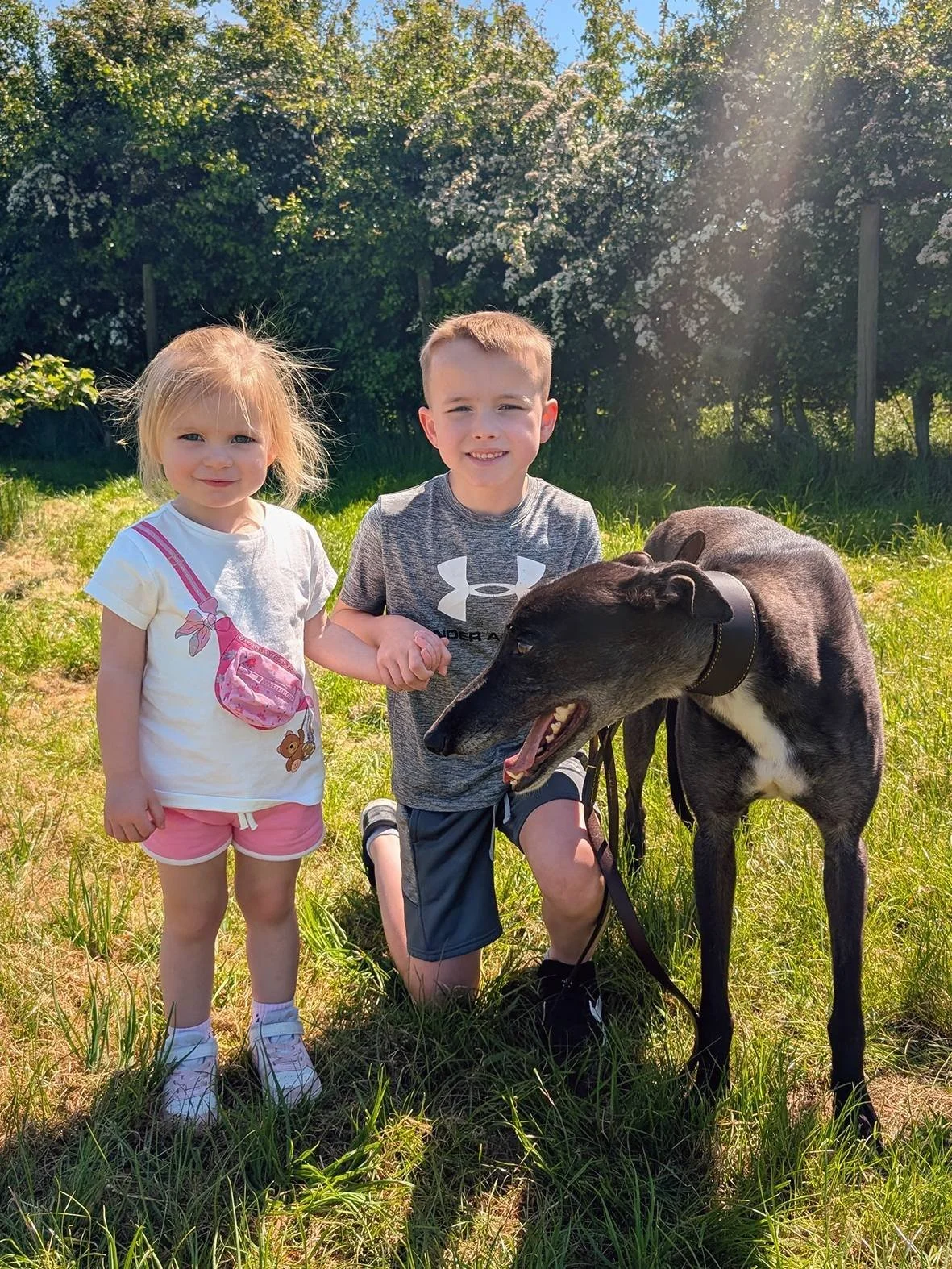 Two children, a girl and a boy, standing outdoors on grass with a black dog between them. The girl has blonde hair, is wearing a white t-shirt, pink shorts, white sneakers, and a pink bag printed on her shirt. The boy has short hair, is wearing a gra