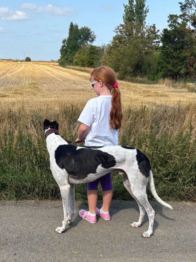 A girl with long red hair and sunglasses standing beside a black and white Great Dane dog on a rural road, with a field and trees in the background.