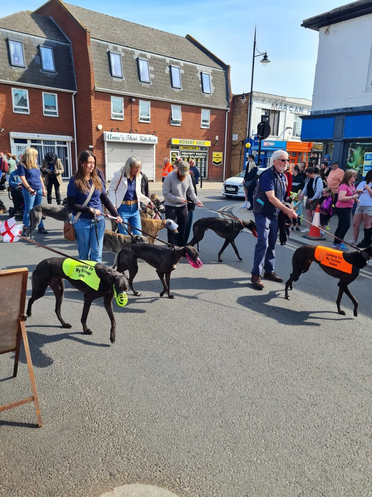 People walking dogs in a street protest, with some dogs wearing colorful signs, in a small town with brick buildings and storefronts in the background.