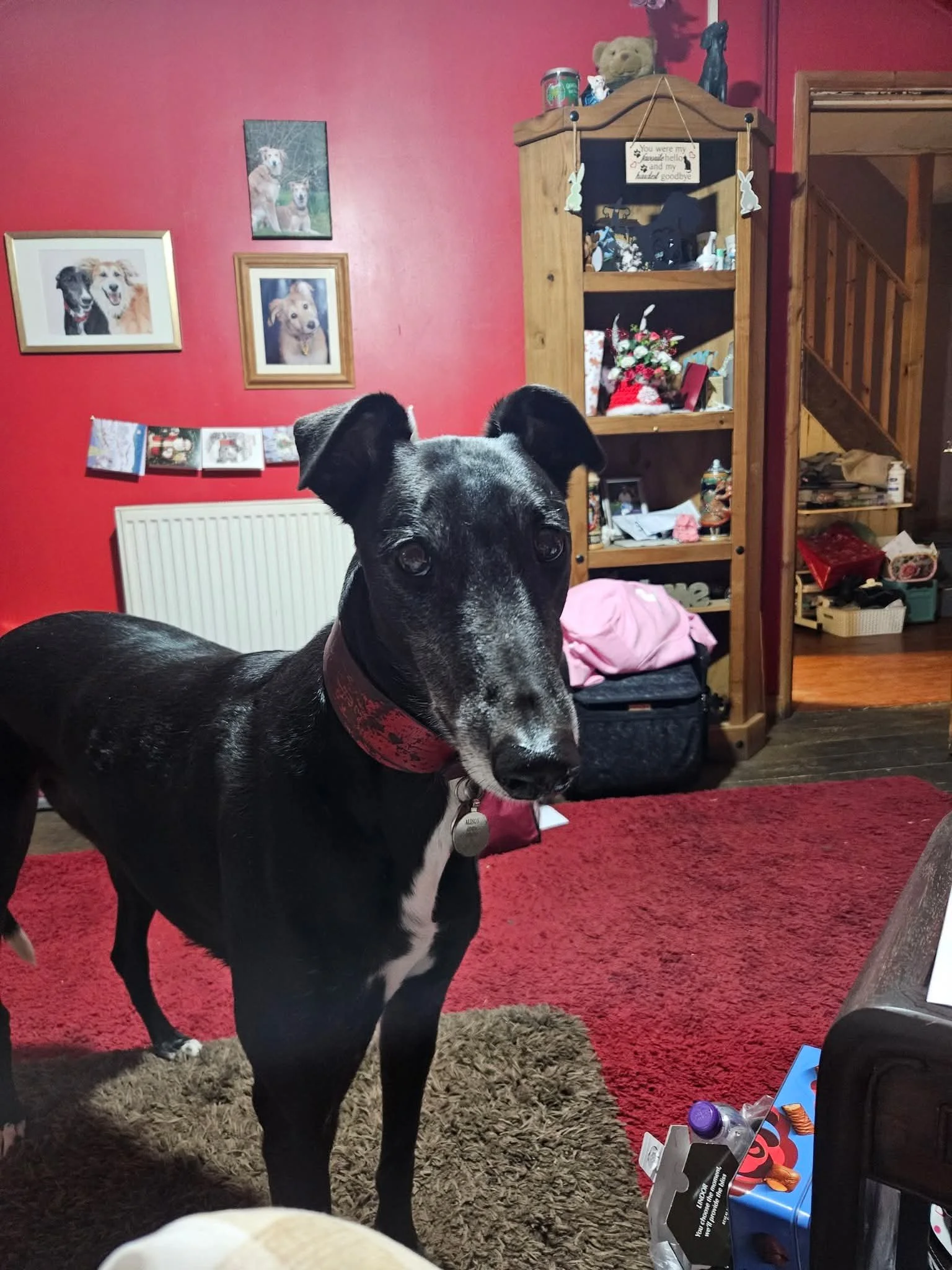 Super (Savana Super)