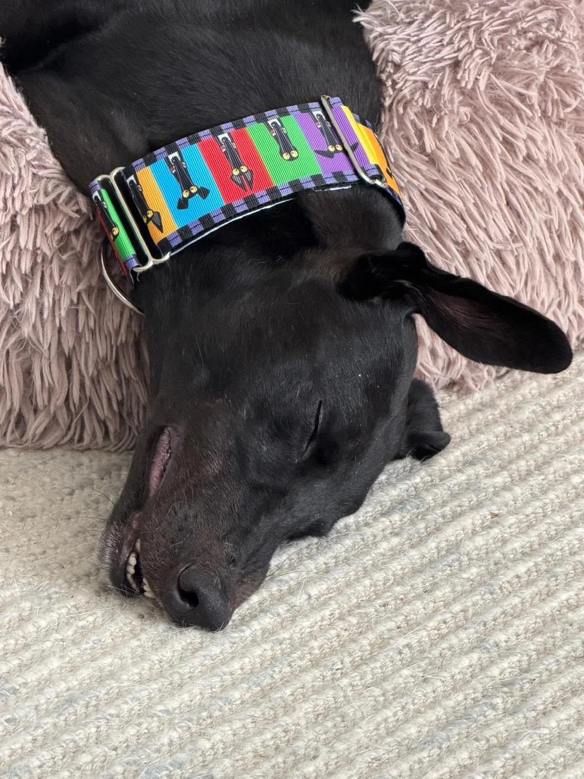 Keira (Sweet Solera)