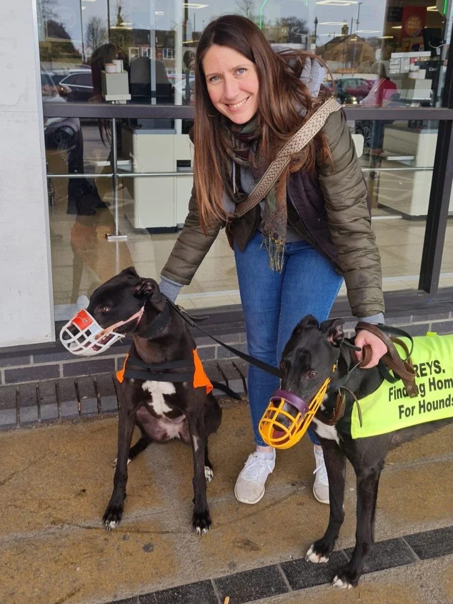 A woman smiling and holding two black hound dogs wearing muzzles and safety vests outside a store.