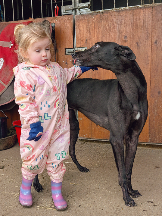 A young girl in a colorful raincoat and rain boots standing next to a large black dog inside a barn or stable.