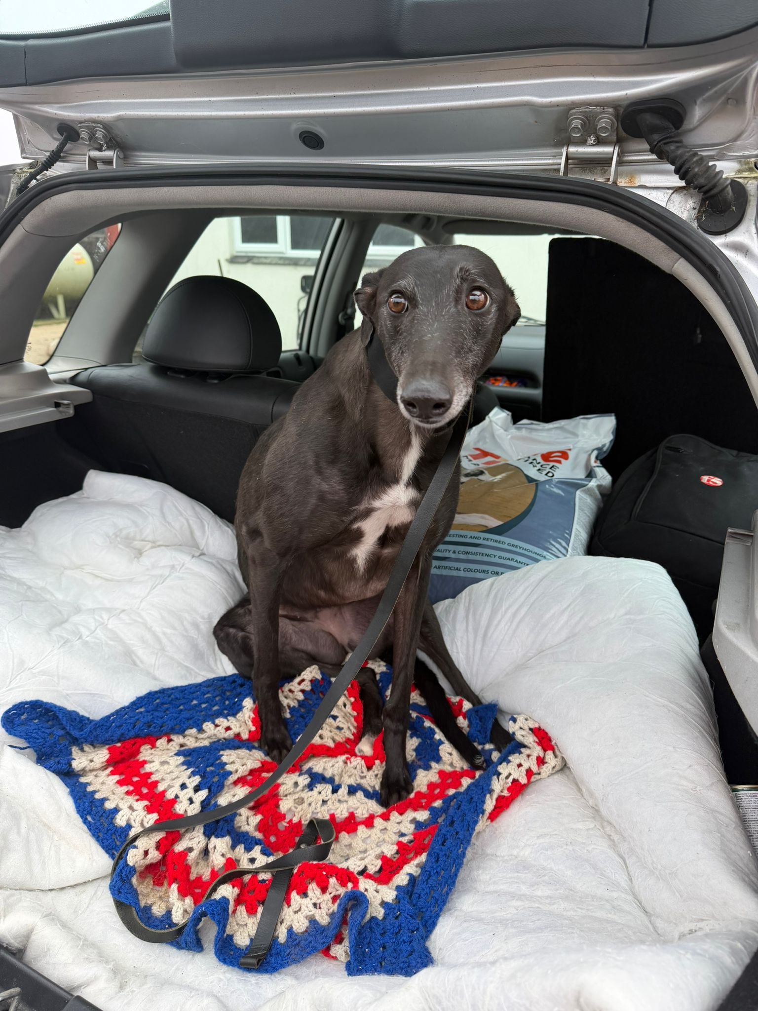 Zara (Pinkys Lady)
