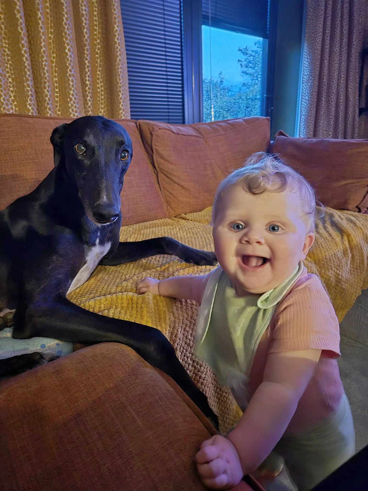 Ozzy (Cartwrights Lad)