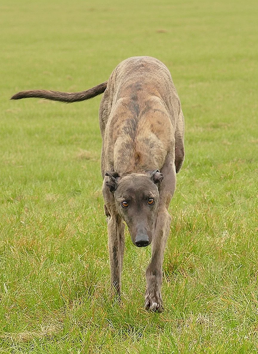 AirBrush_20251126204755.jpg