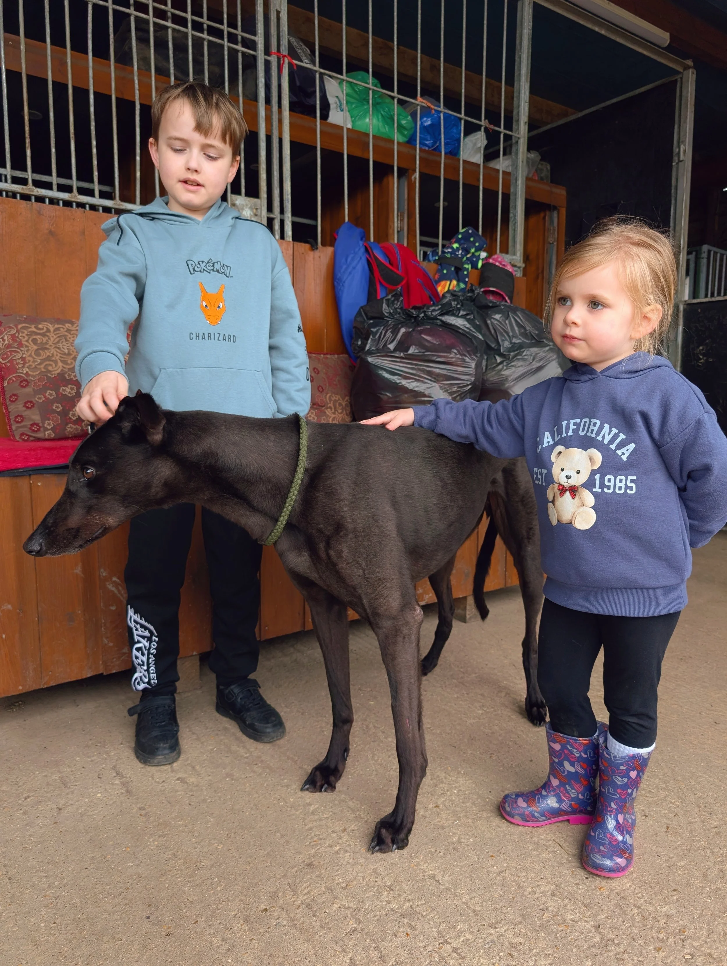 Two children petting a black dog in a stable or barn. The boy is wearing a light blue hoodie with a Pokemon Charizard design, and the girl is wearing a dark blue hoodie with teddy bear print and rain boots with heart and star patterns. There are bags