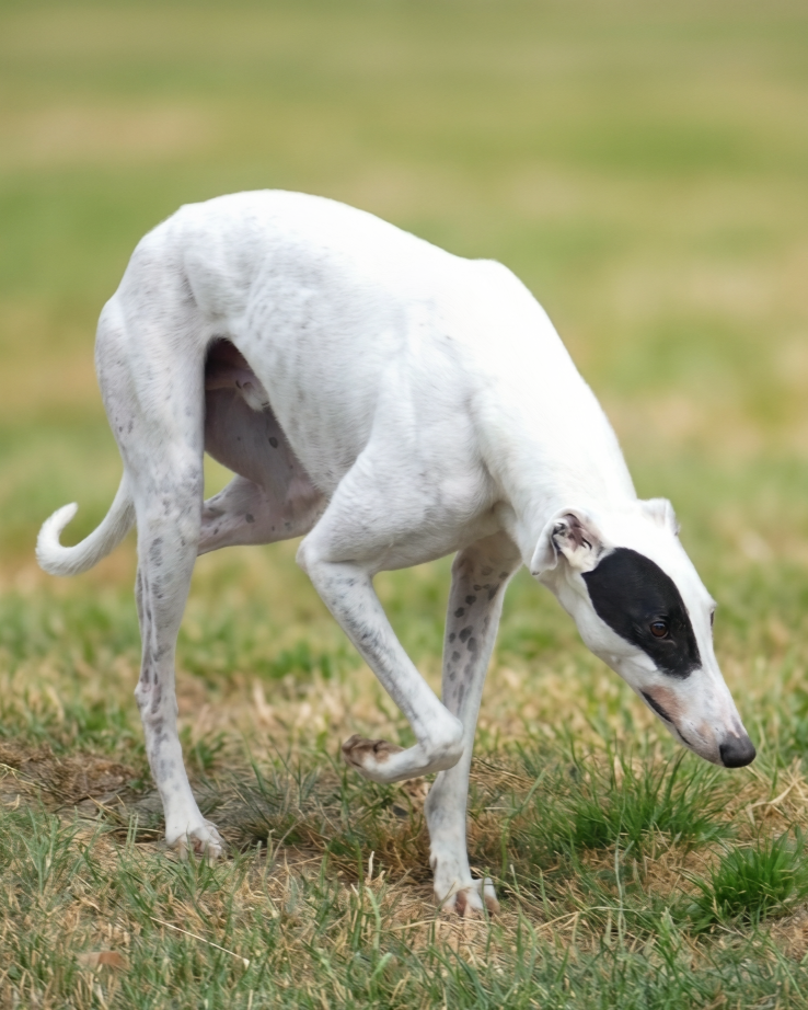 1000071537.png