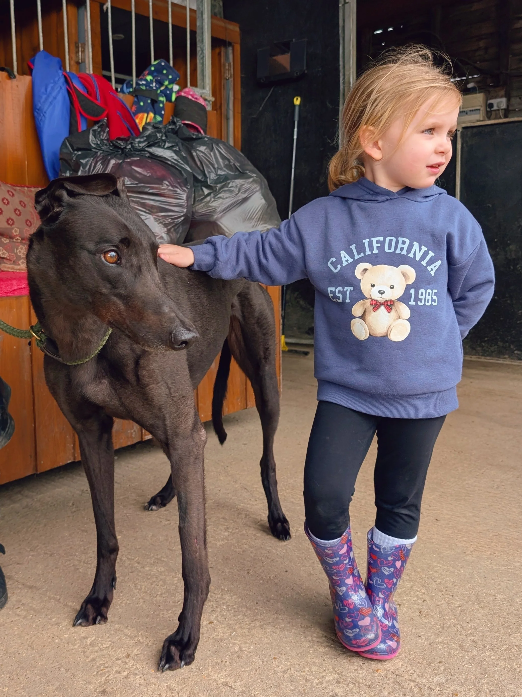 A young girl with blonde hair kneeling on the ground and petting a large black dog inside a barn or stable. The girl is wearing a blue hoodie with a teddy bear graphic, dark leggings, and colorful rain boots with heart patterns. The dog is standing b