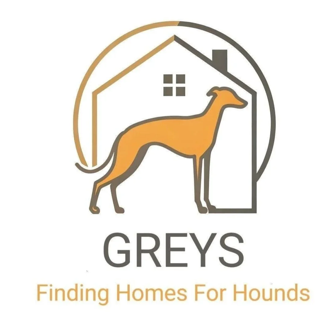 GREYS. Finding Homes For Hounds