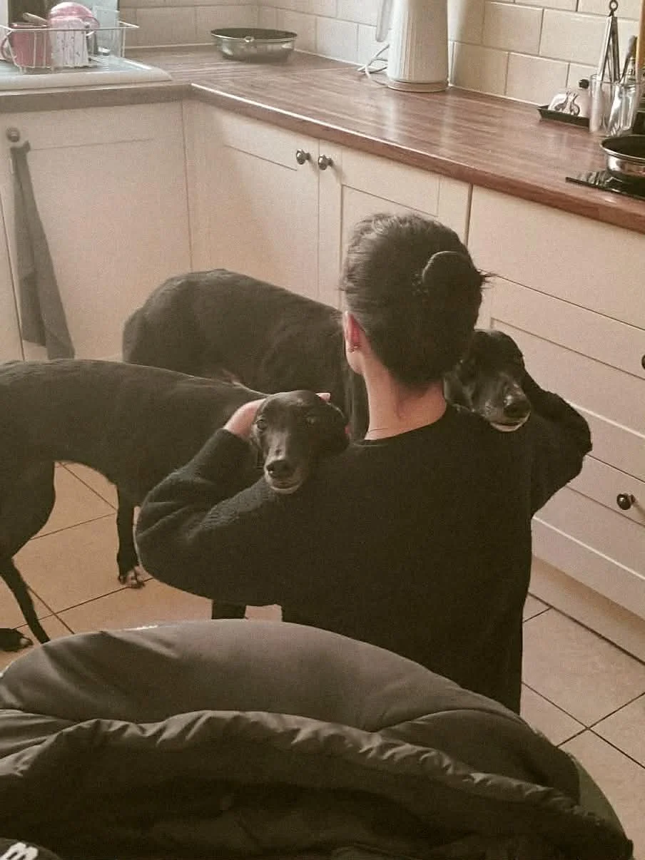 Daisy (Swift Elixir) & Gatsby (Rosstemple Davey)