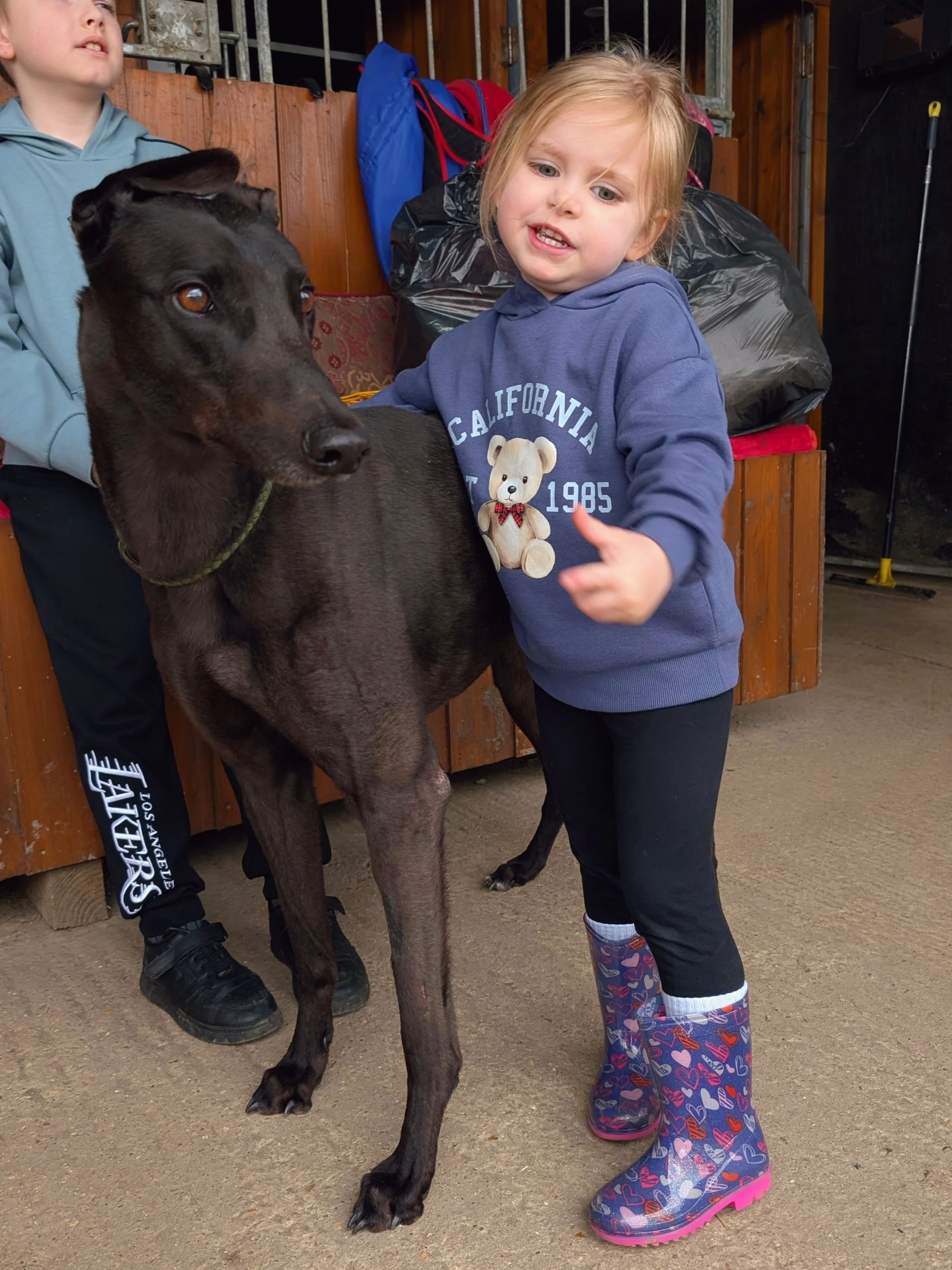 A young girl with blonde hair wearing a blue hoodie and heart-patterned rain boots standing next to a large black dog in a barn or stable area with wood walls and bags of items in the background.