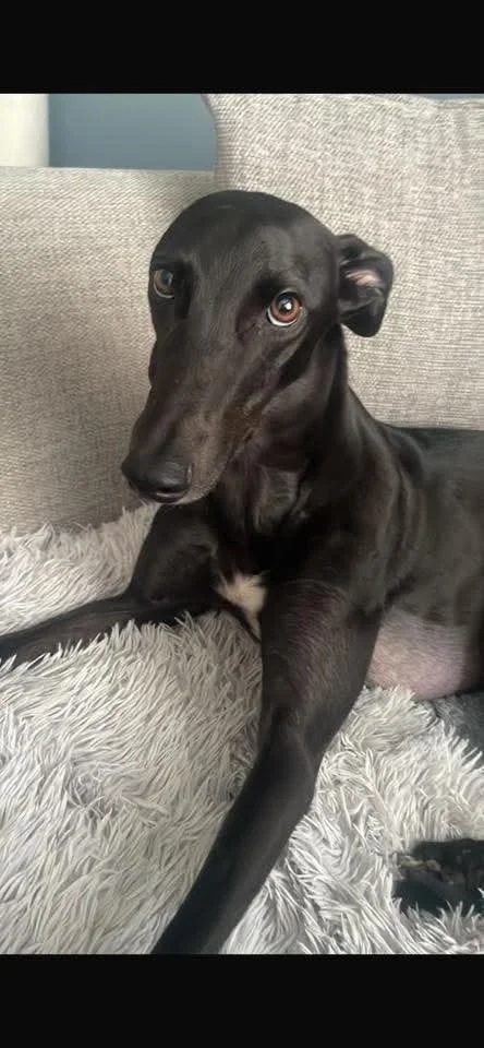 Lady (Whos That Lady)