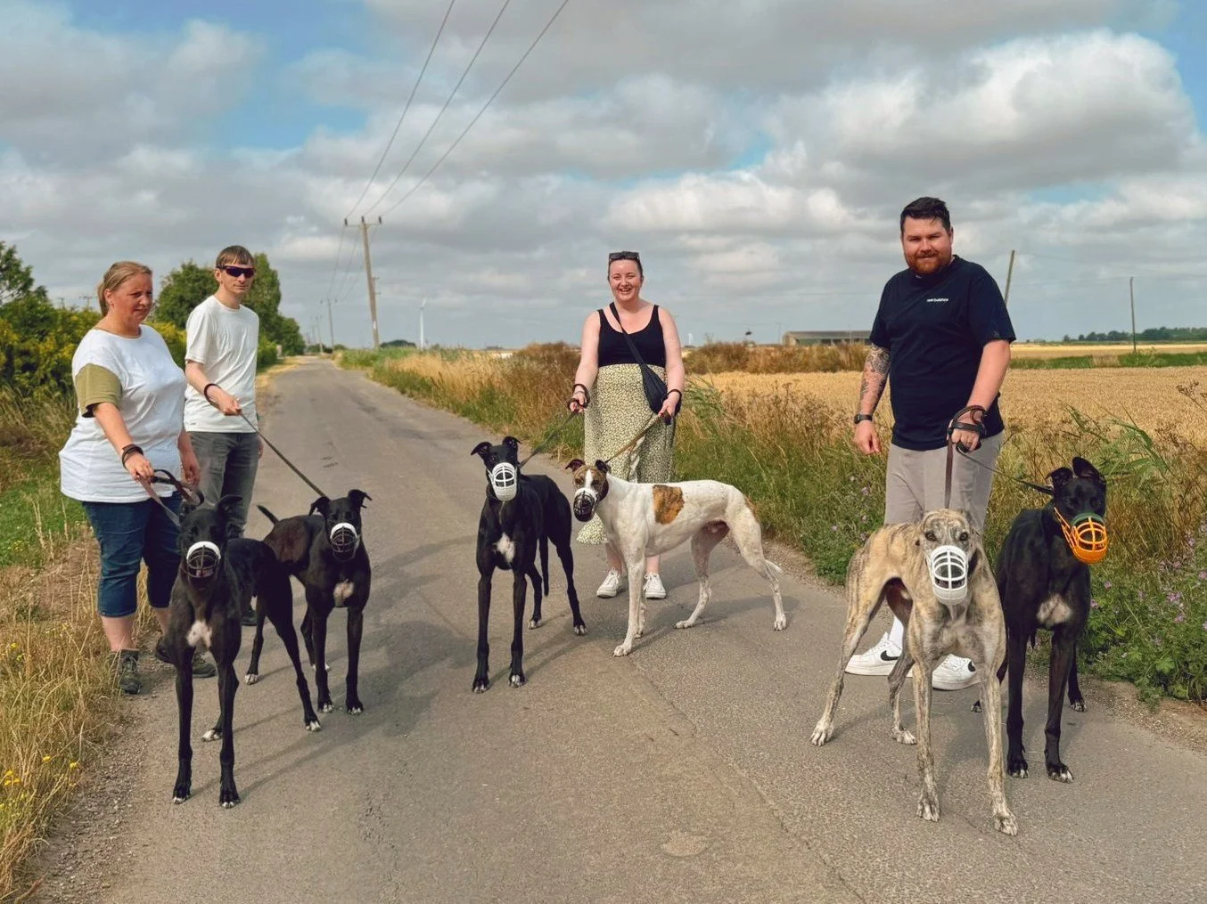 Four people walking on a rural road with six greyhounds wearing masks, two women on the left, a woman and a man on the right, with fields and power lines in the background.